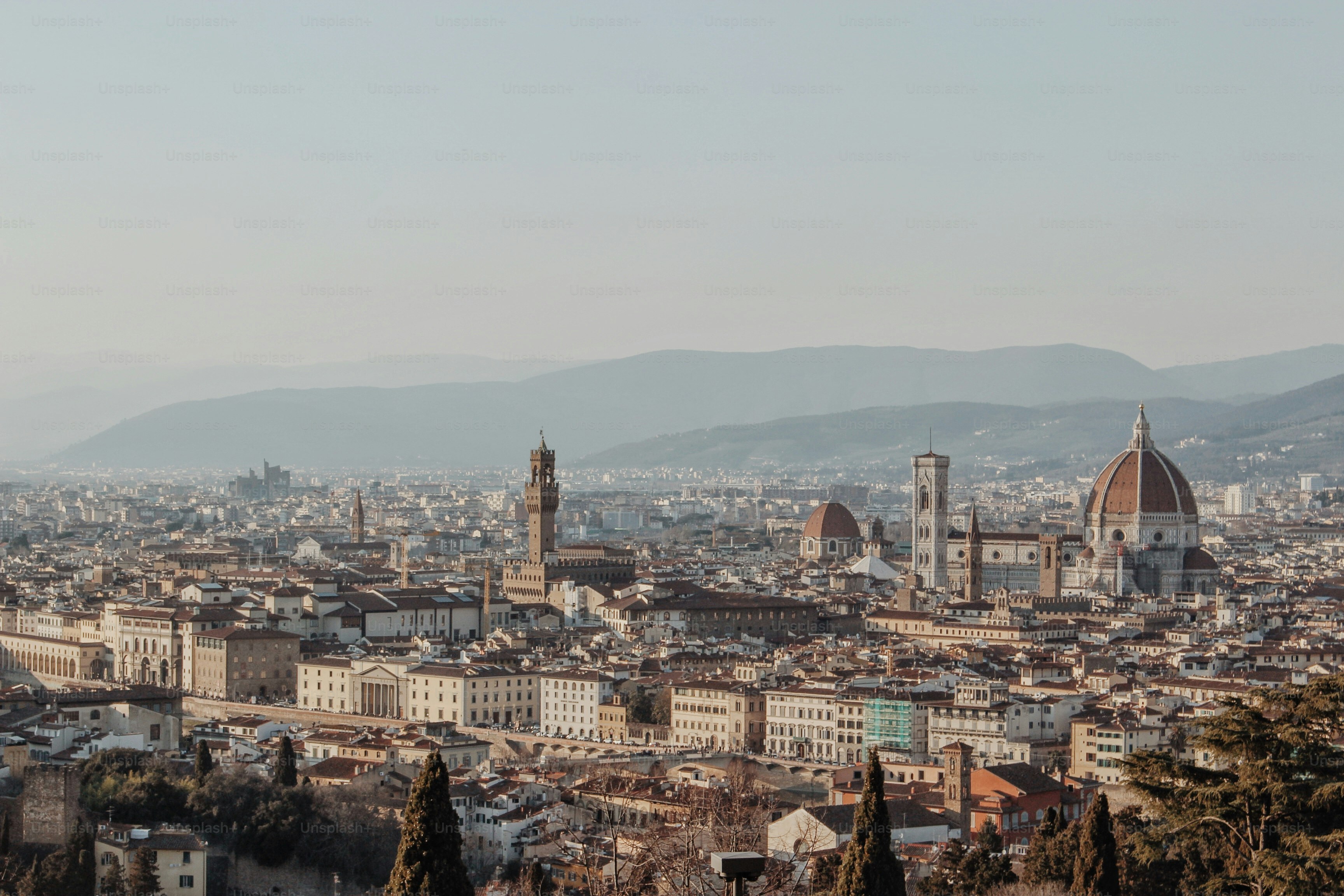 A view of a city with mountains in the background