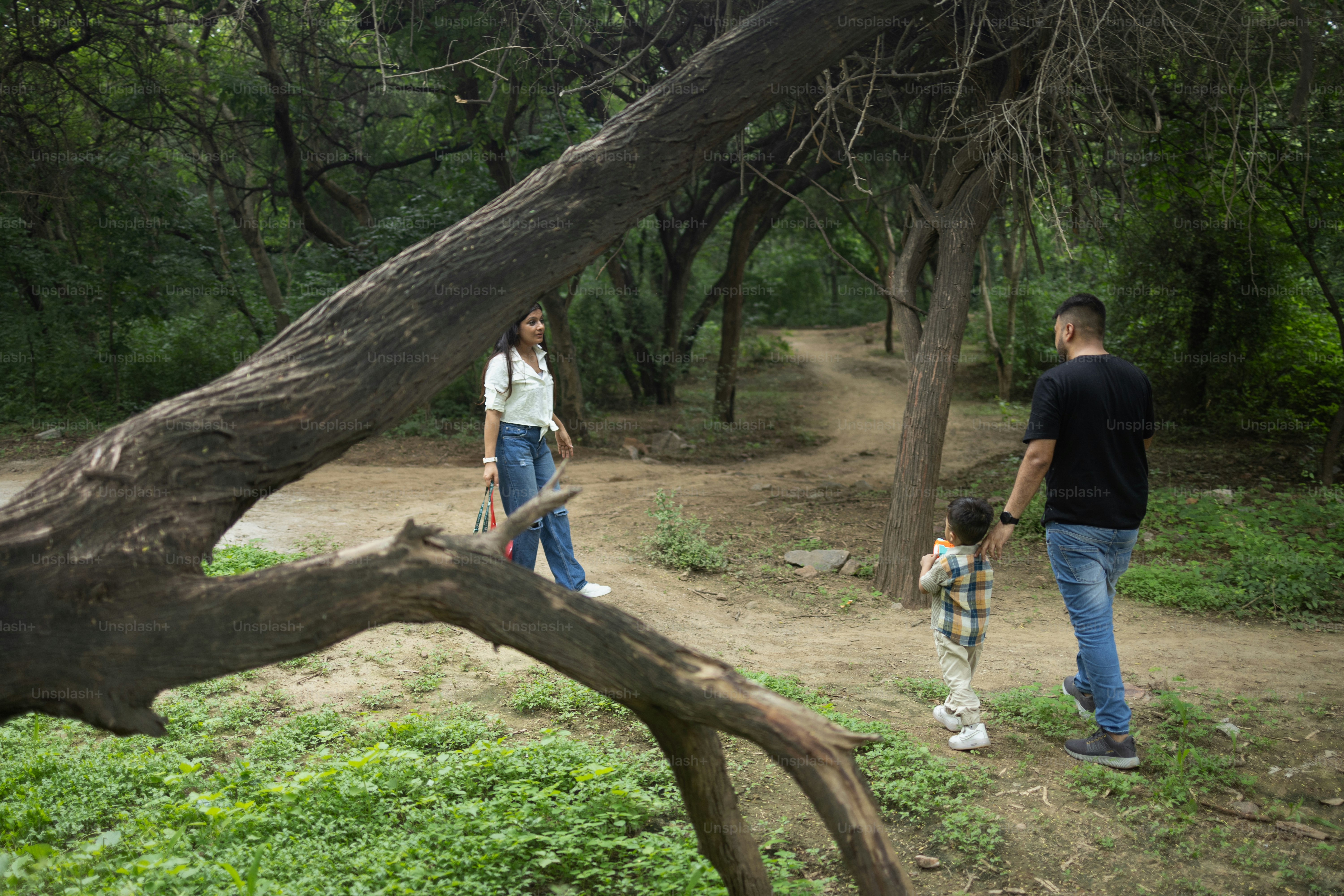 A man and a woman walking a dog through a forest photo – Sanjay van ...