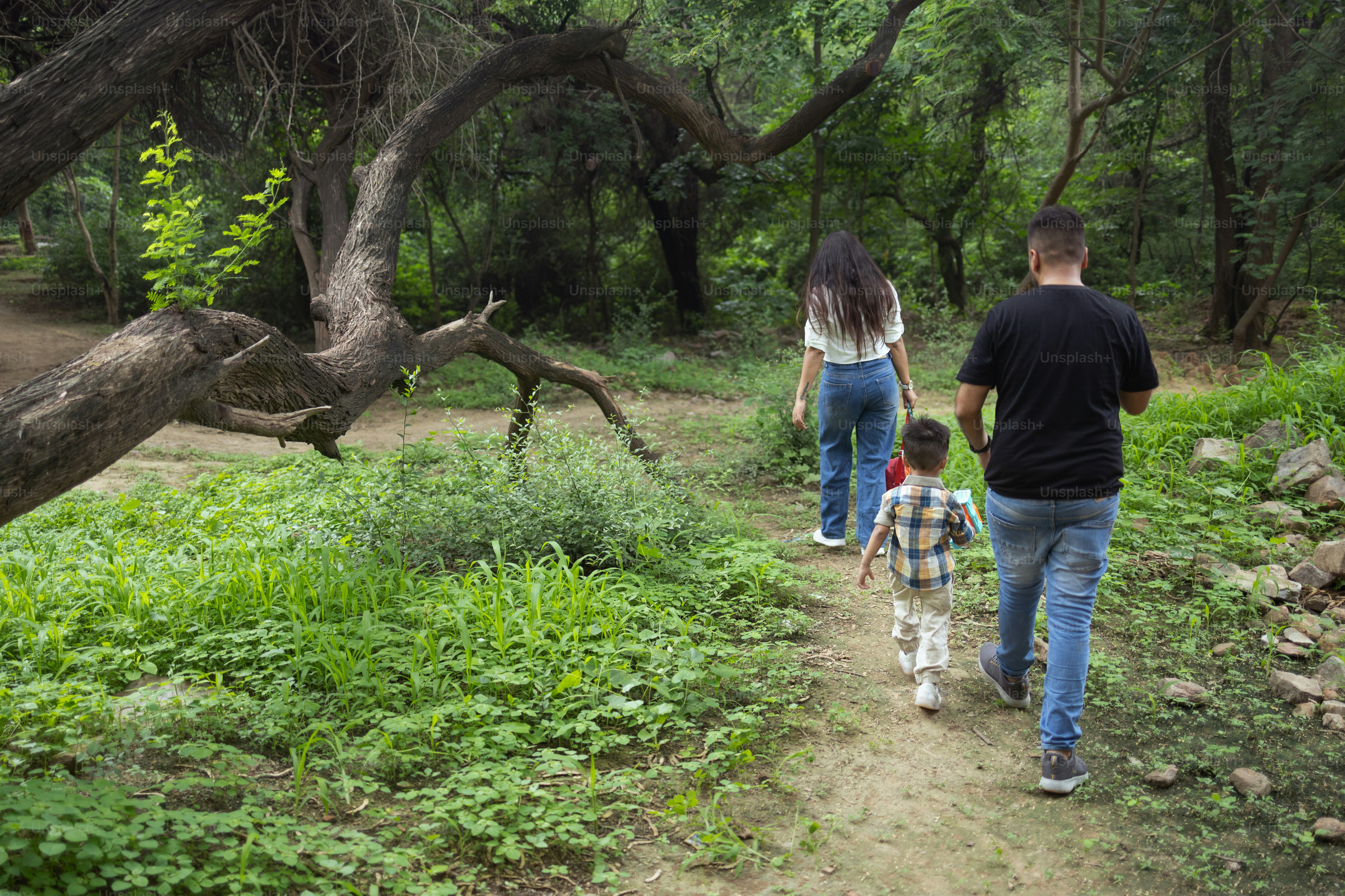 A man and two children walking down a path in the woods