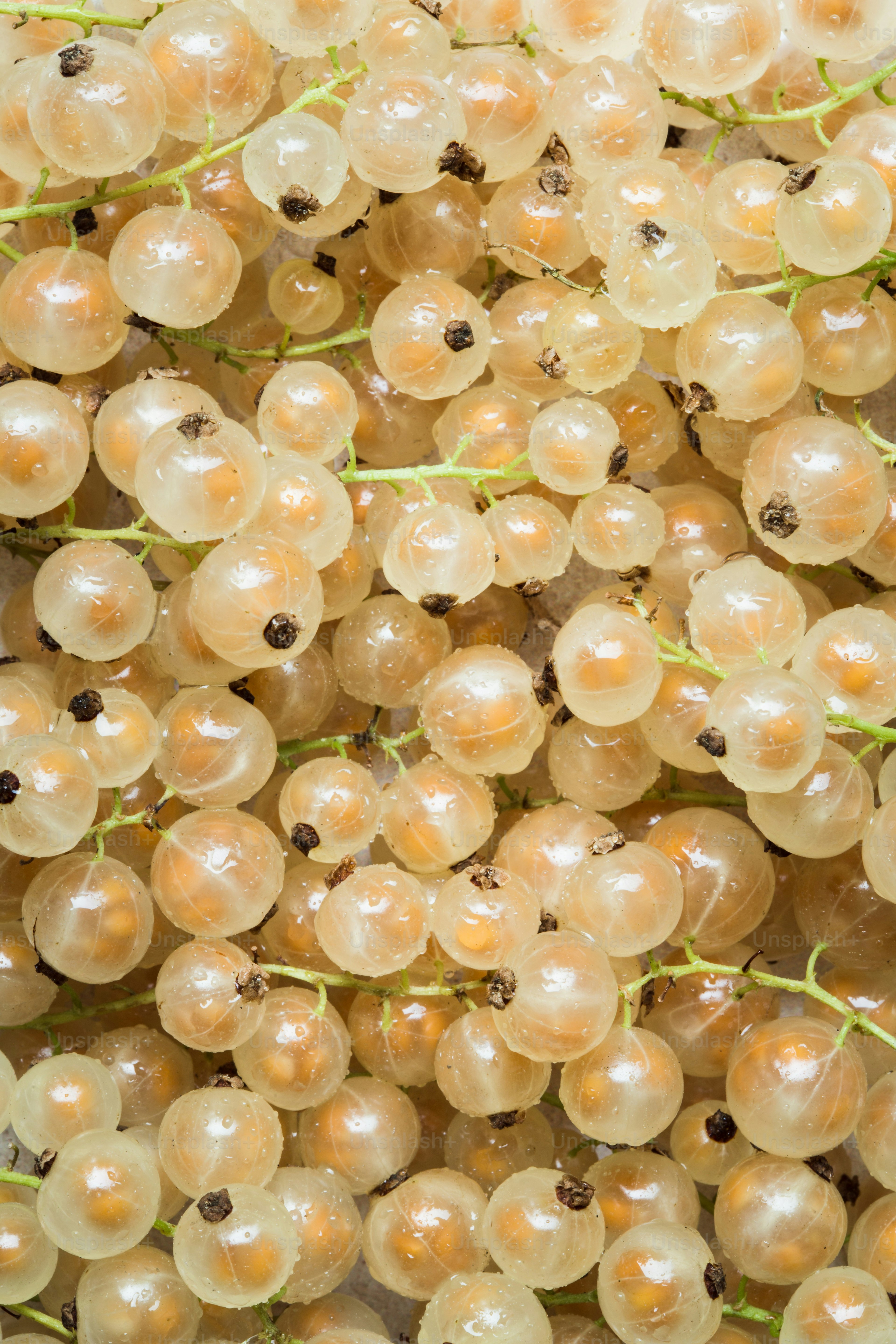 A bunch of white grapes sitting on top of a table