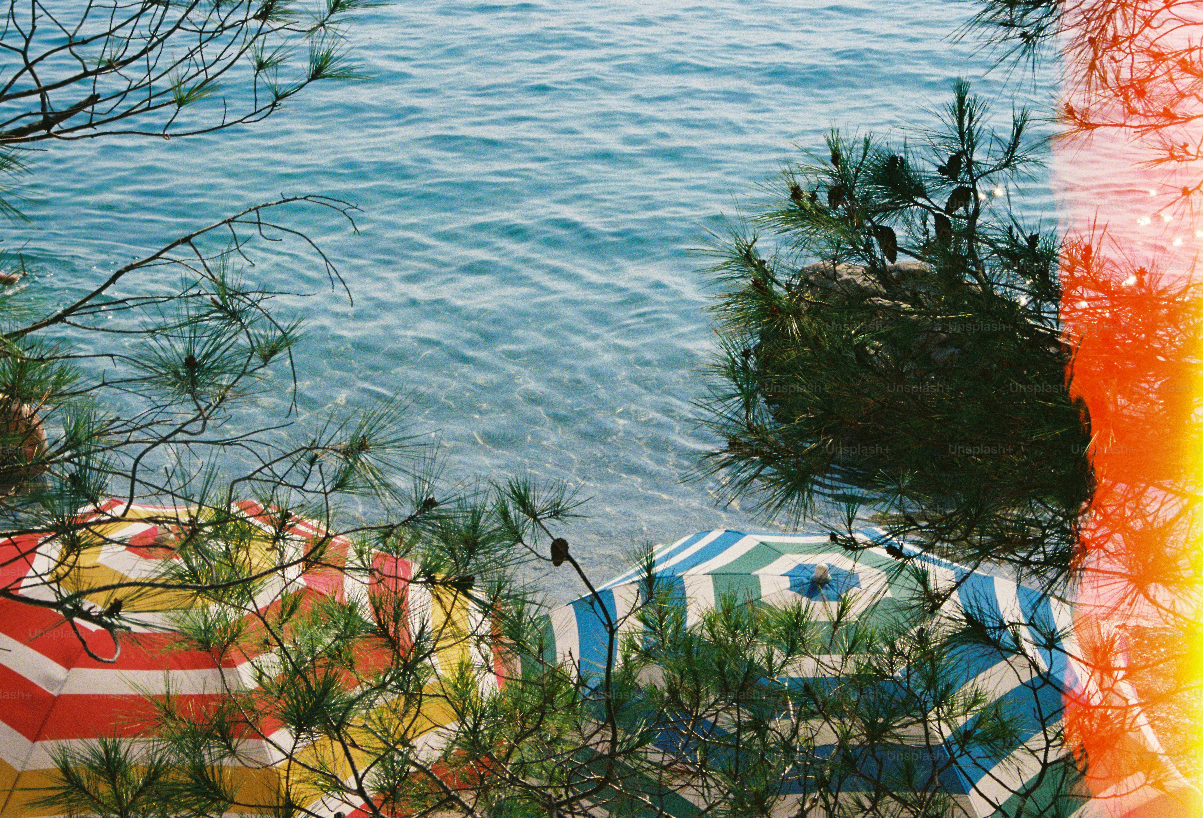 A group of umbrellas sitting next to a body of water