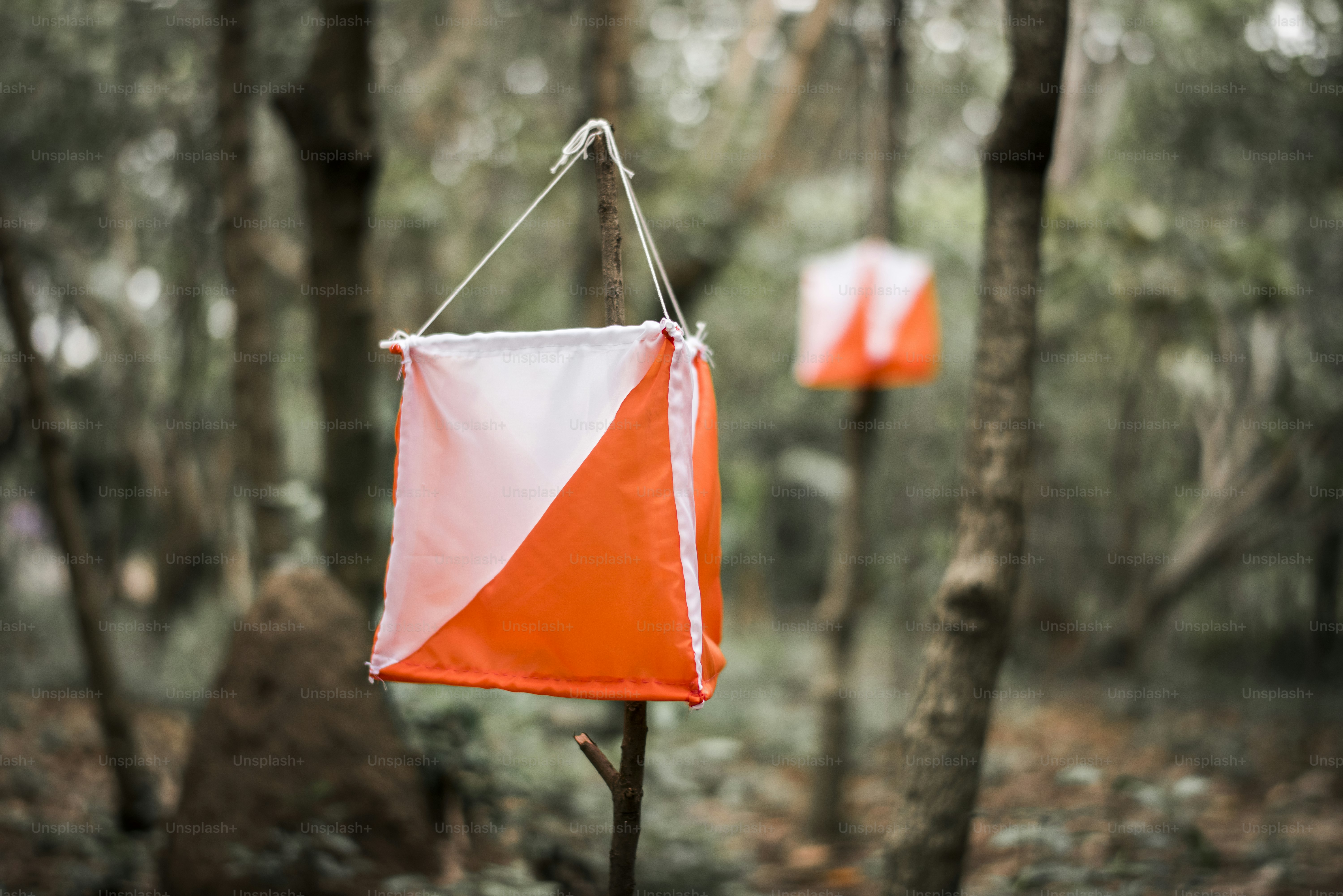 Orienteering box outdoor in a forest