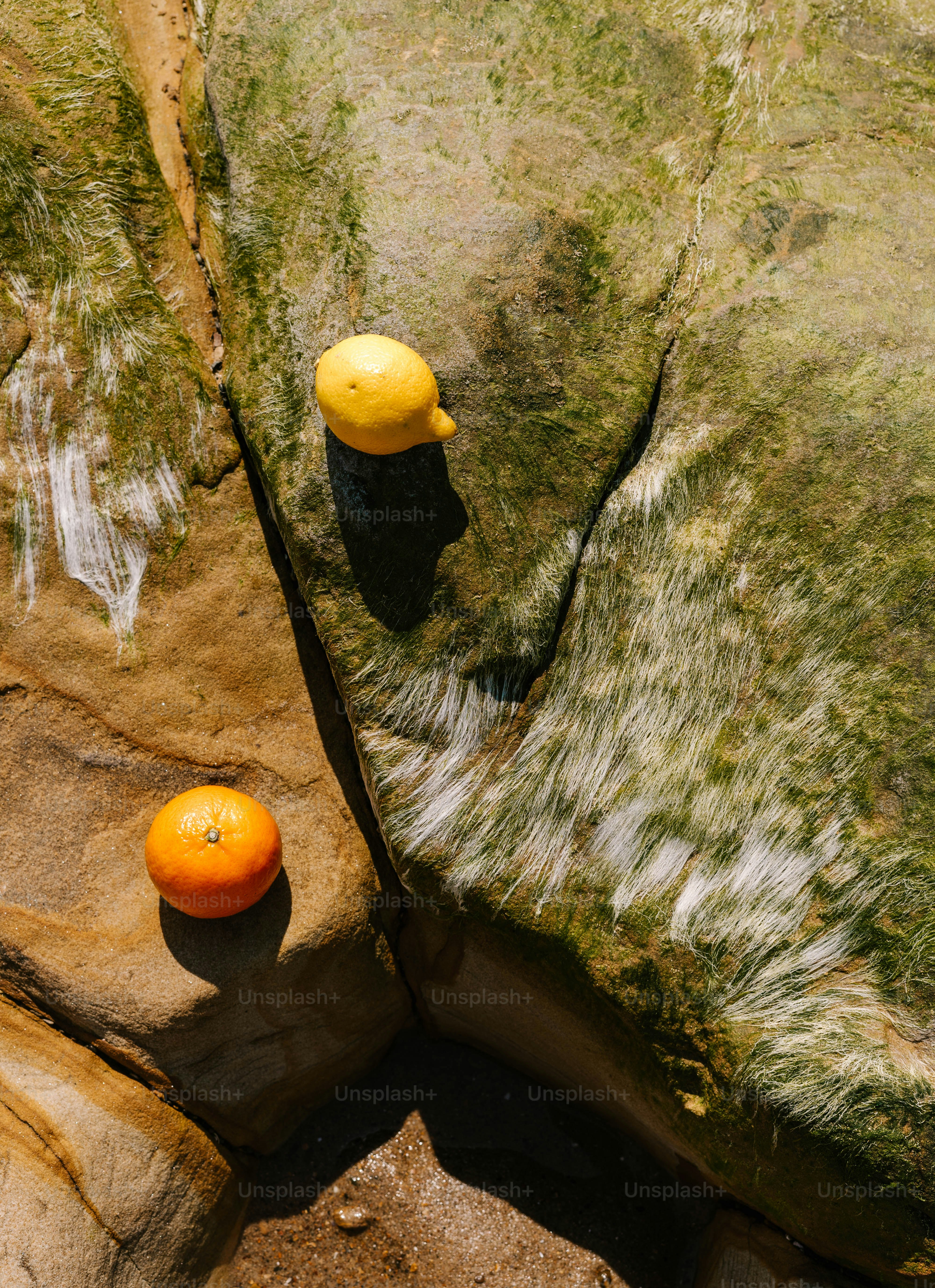 A couple of oranges sitting on top of a rock
