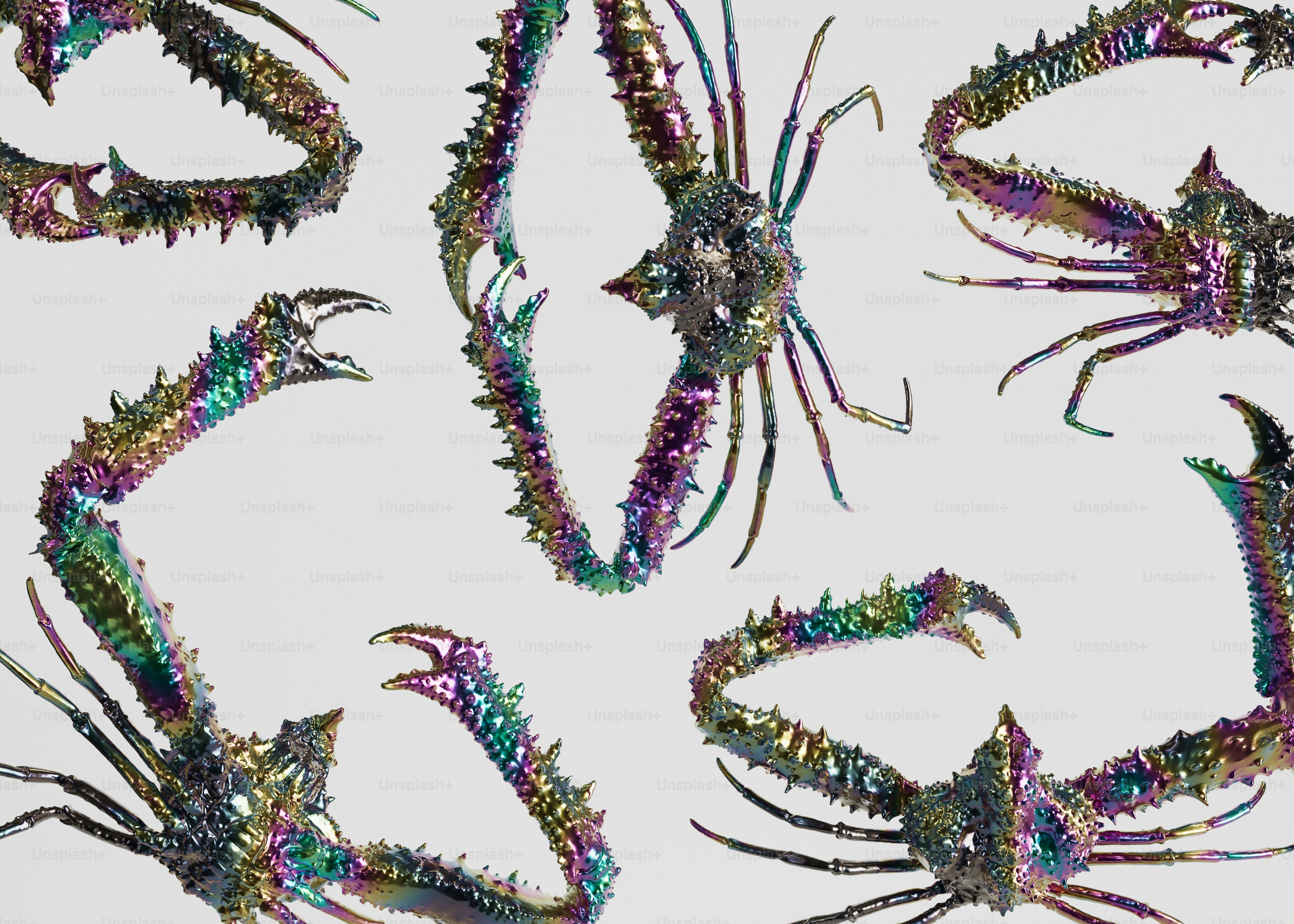 A group of different types of shrimp on a white background