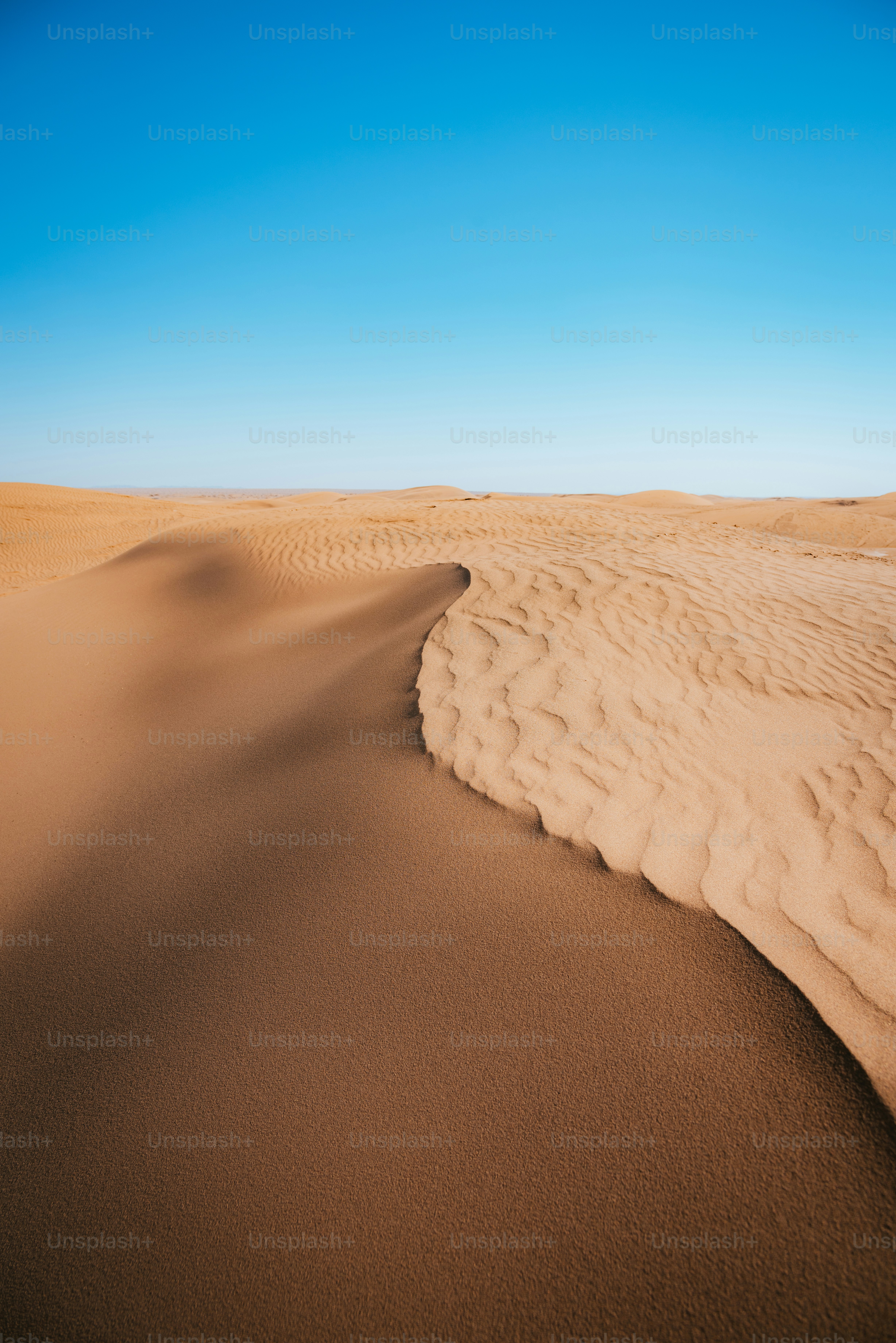 A large sandy area with a blue sky in the background