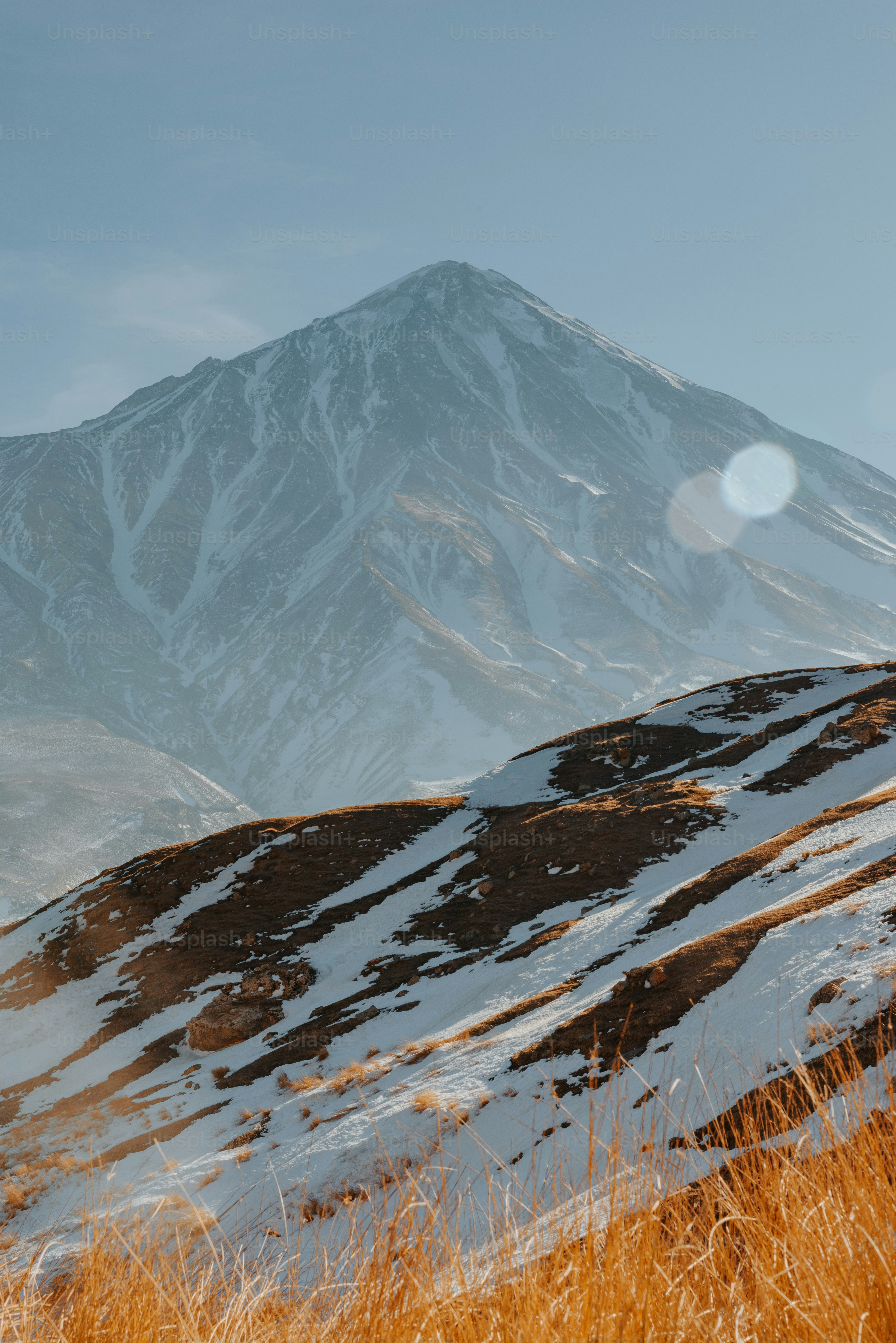 Una montagna innevata con erba alta in primo piano