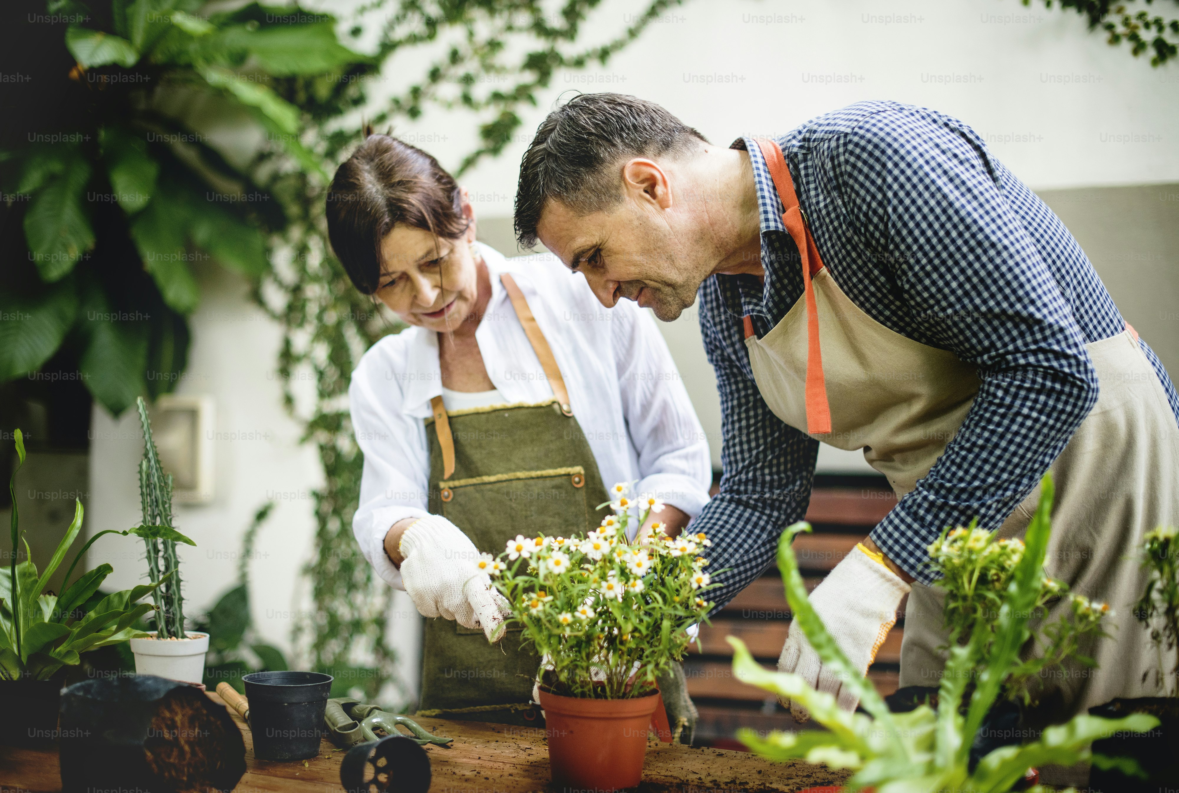 People are planting flowers