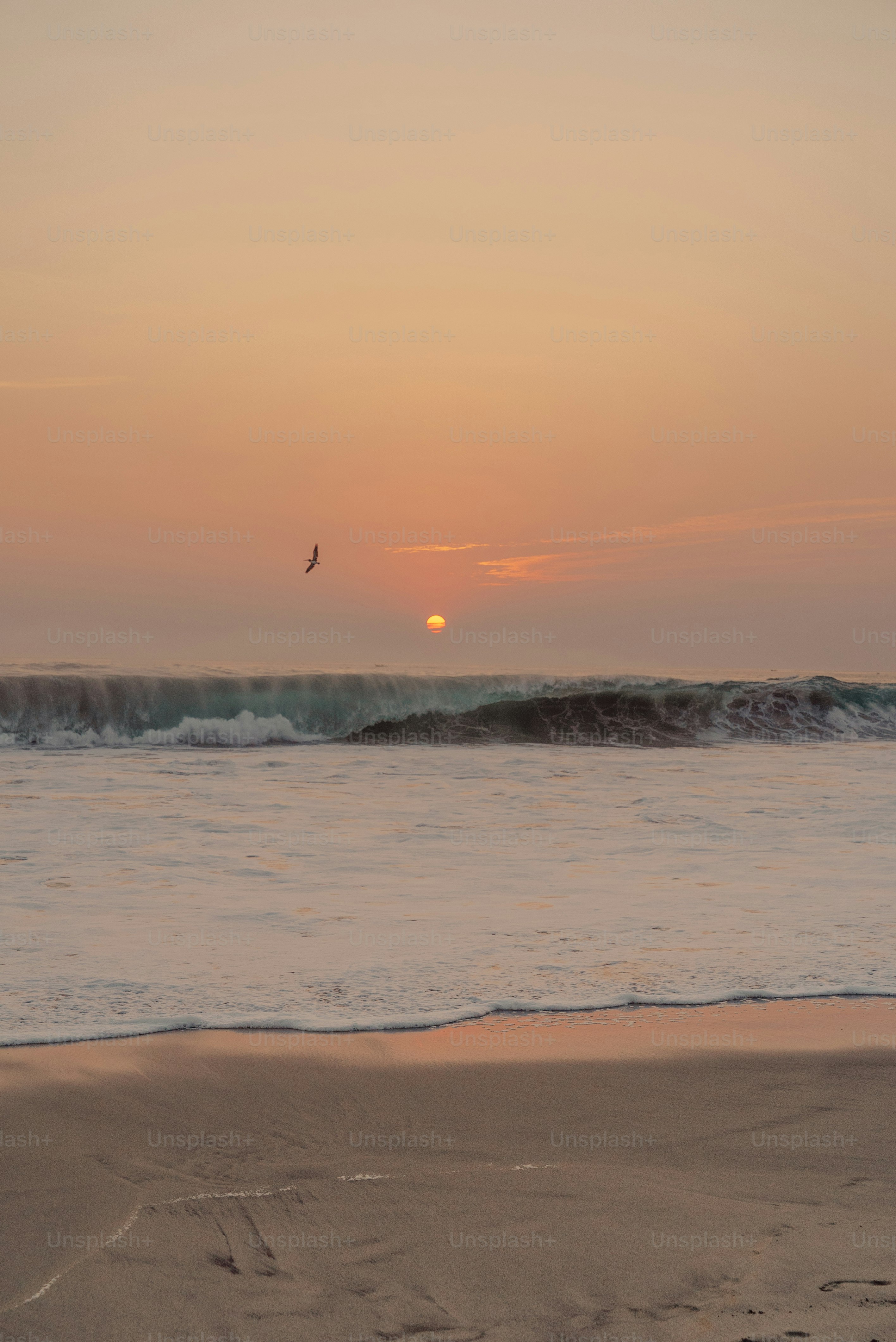 The sun is setting over the ocean on the beach