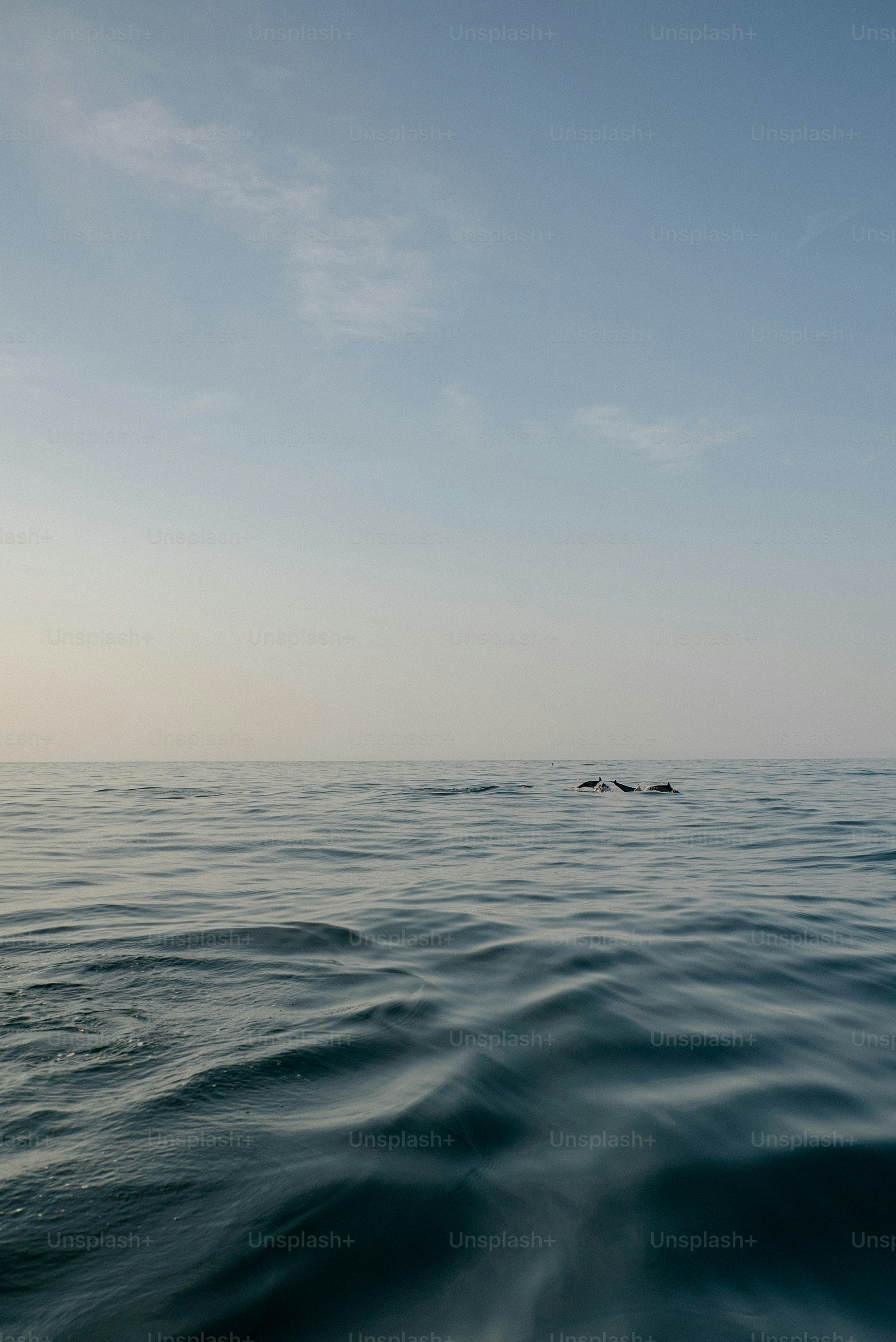 A body of water with a boat in the distance