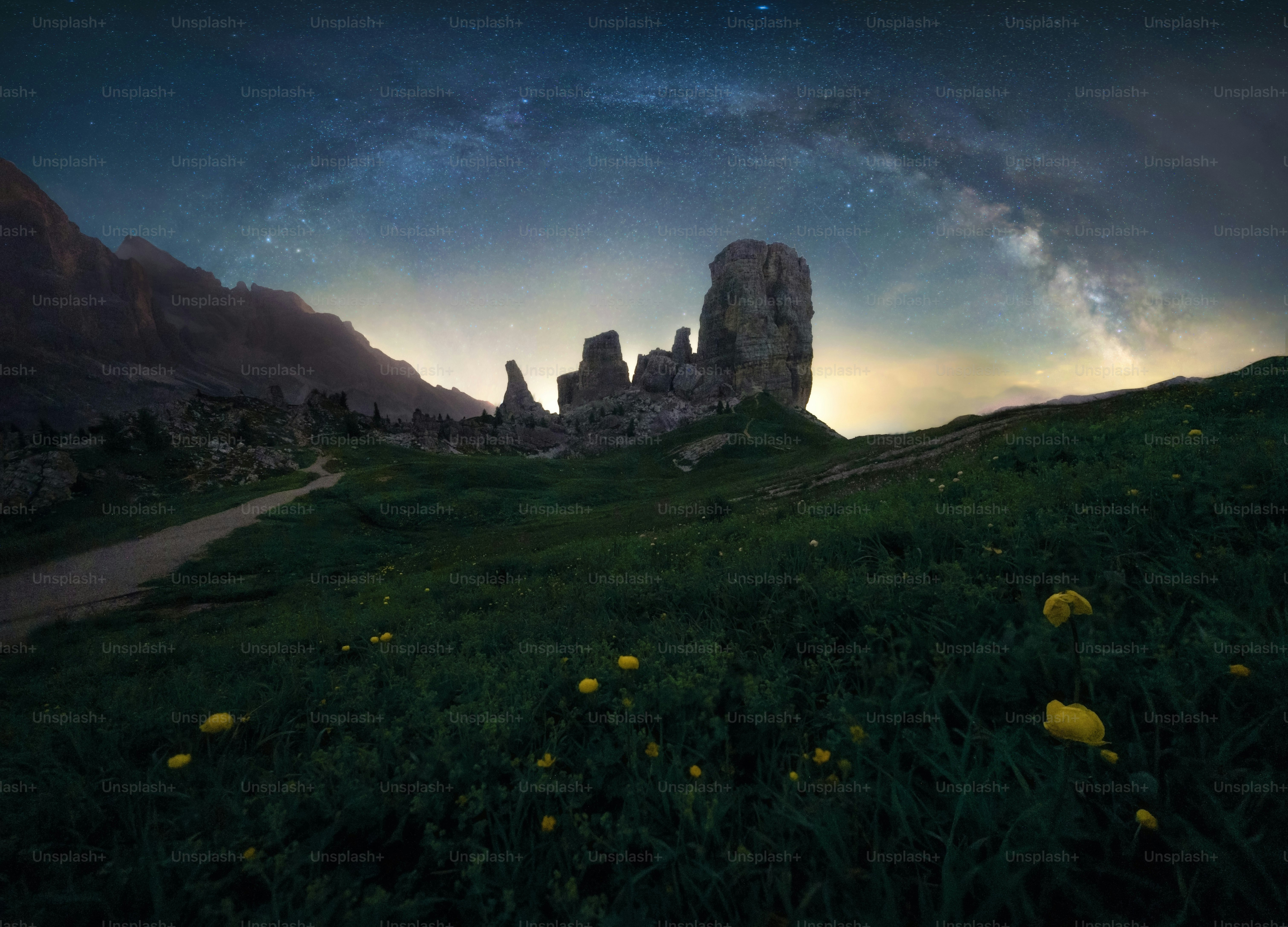 Un campo erboso con fiori gialli sotto un cielo notturno foto ...