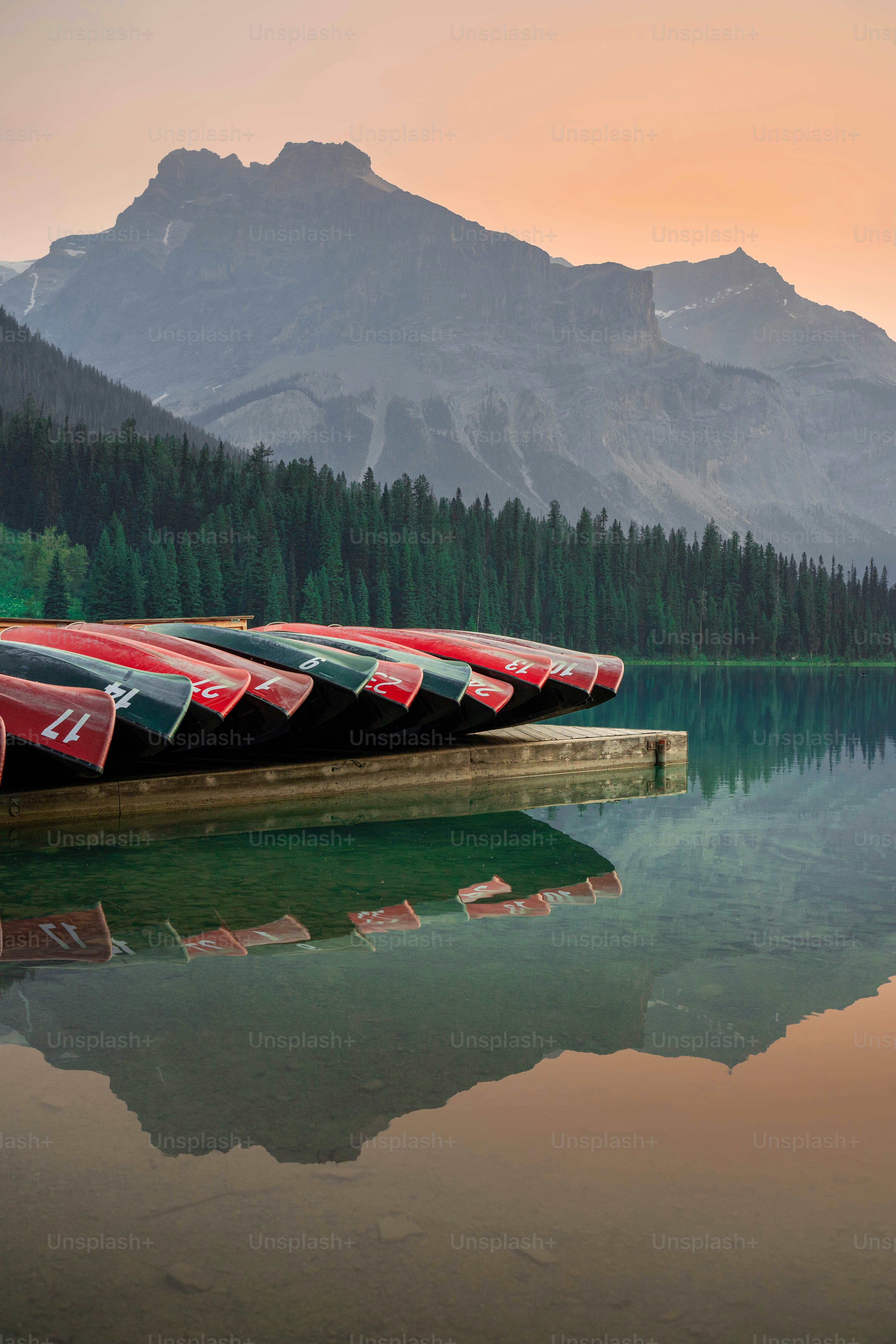 Uma fileira de canoas vermelhas e verdes sentadas em um lago