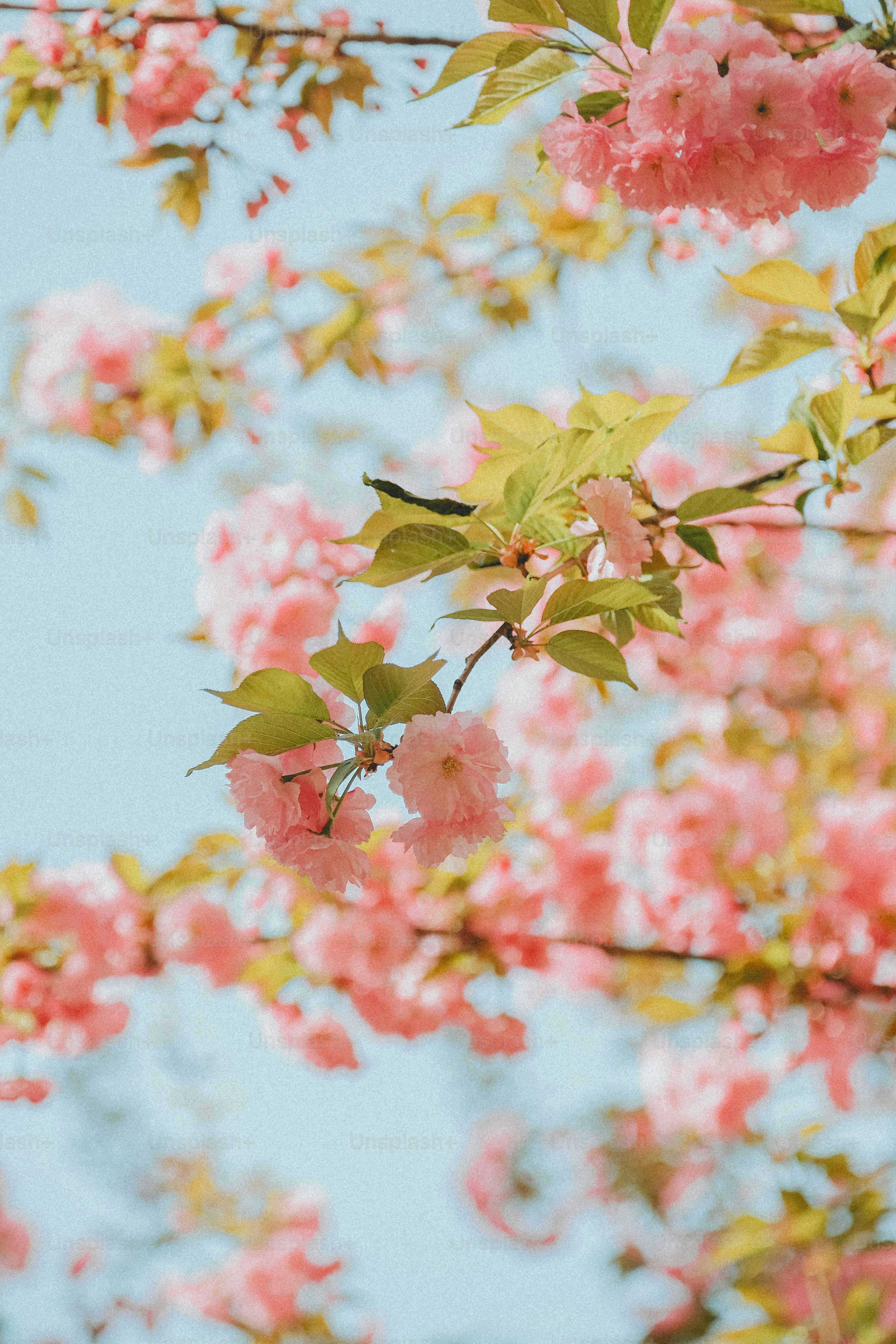 A bird sitting on a branch of a tree