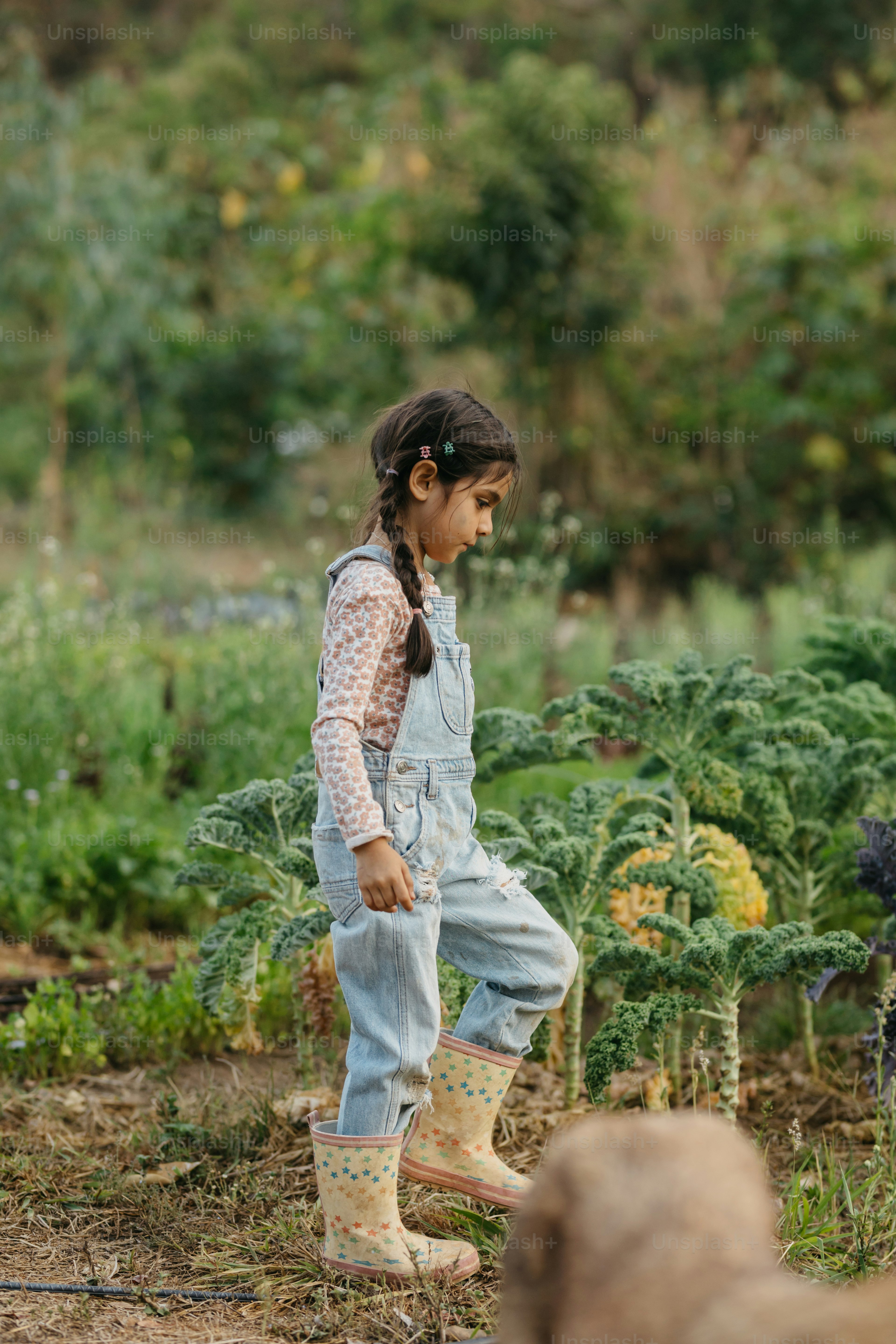 Liten flicka bredvid en gris på ett fält