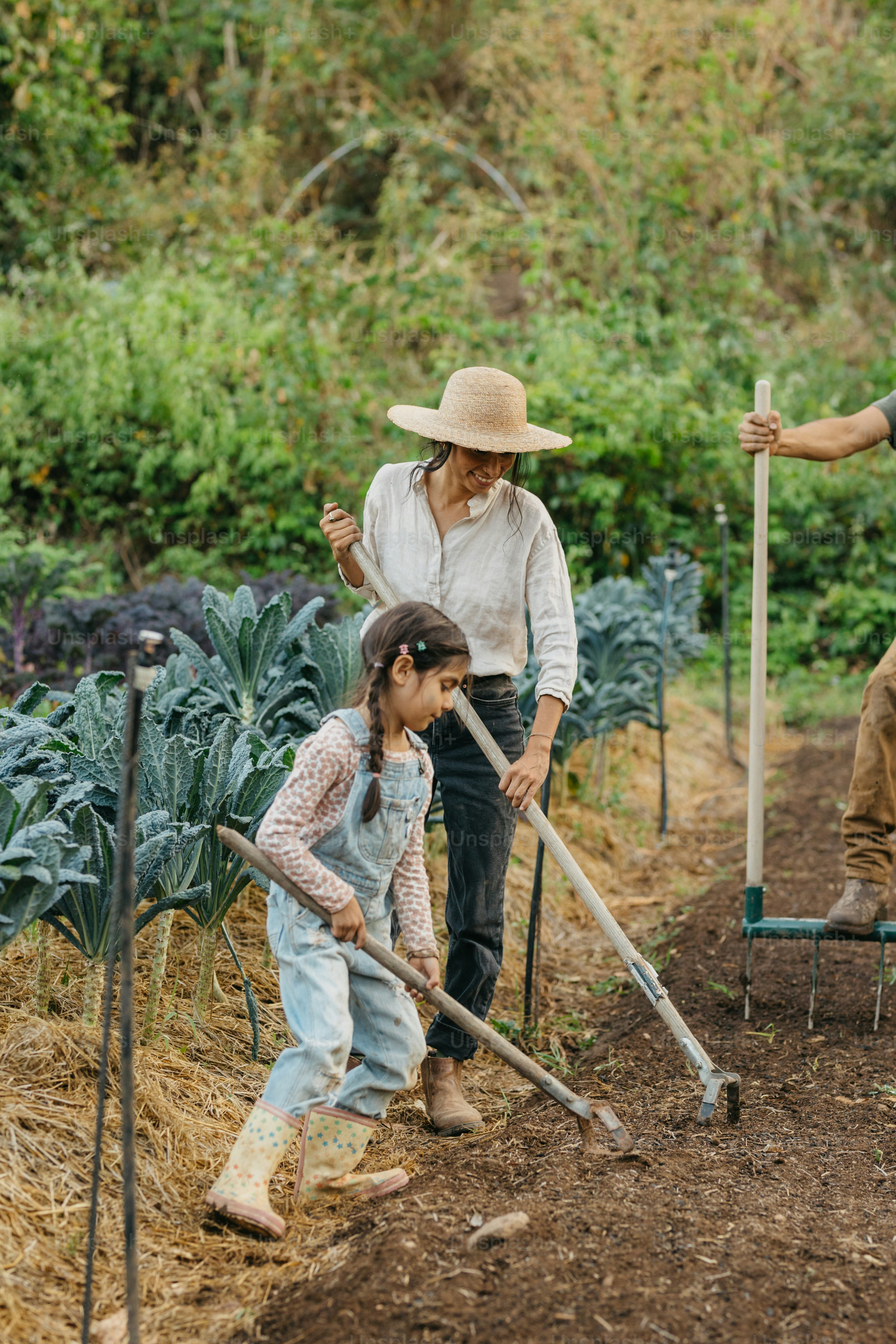 A group of people working in a field photo – Family Image on Unsplash