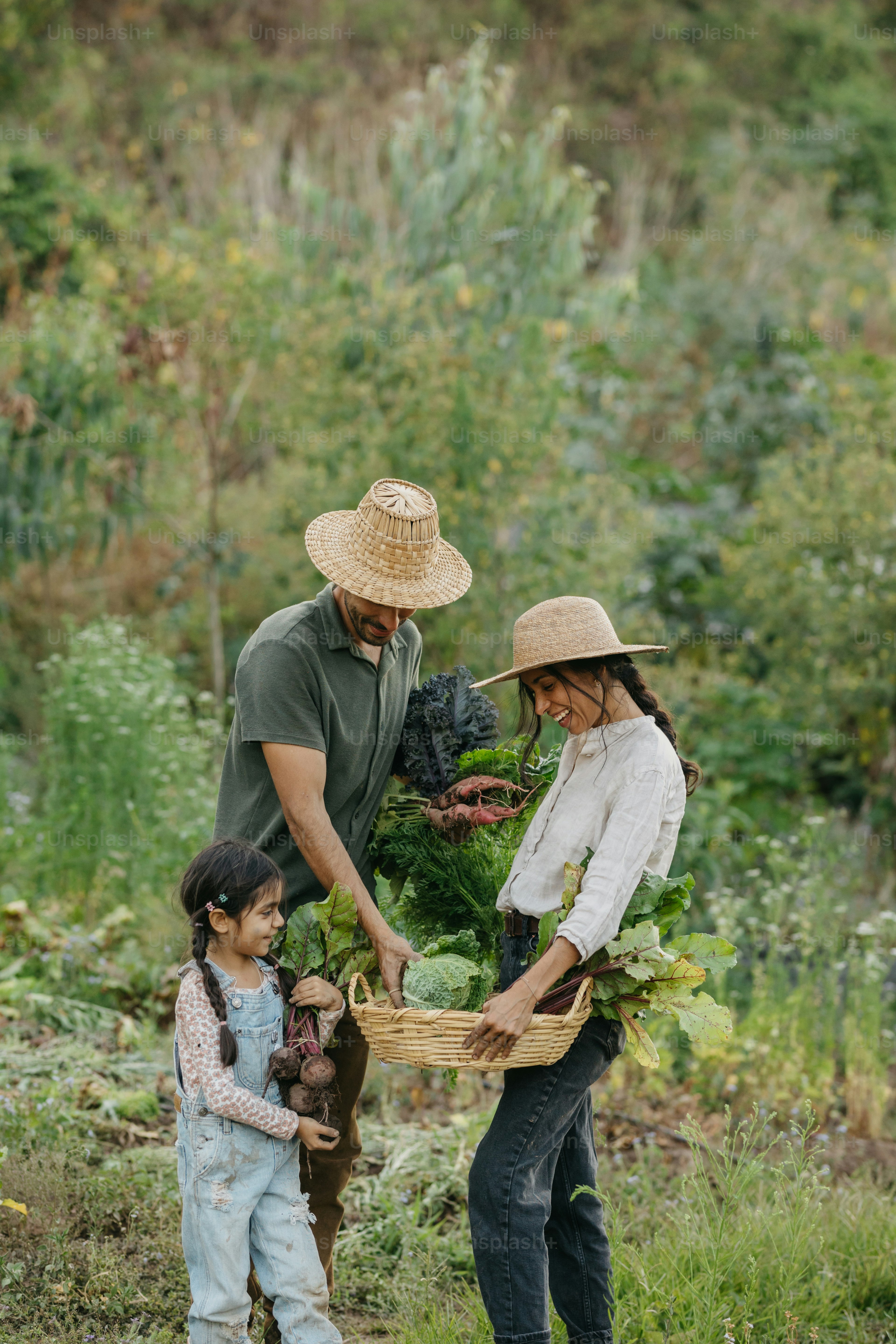 Happy family harvesting vegetables from their garden