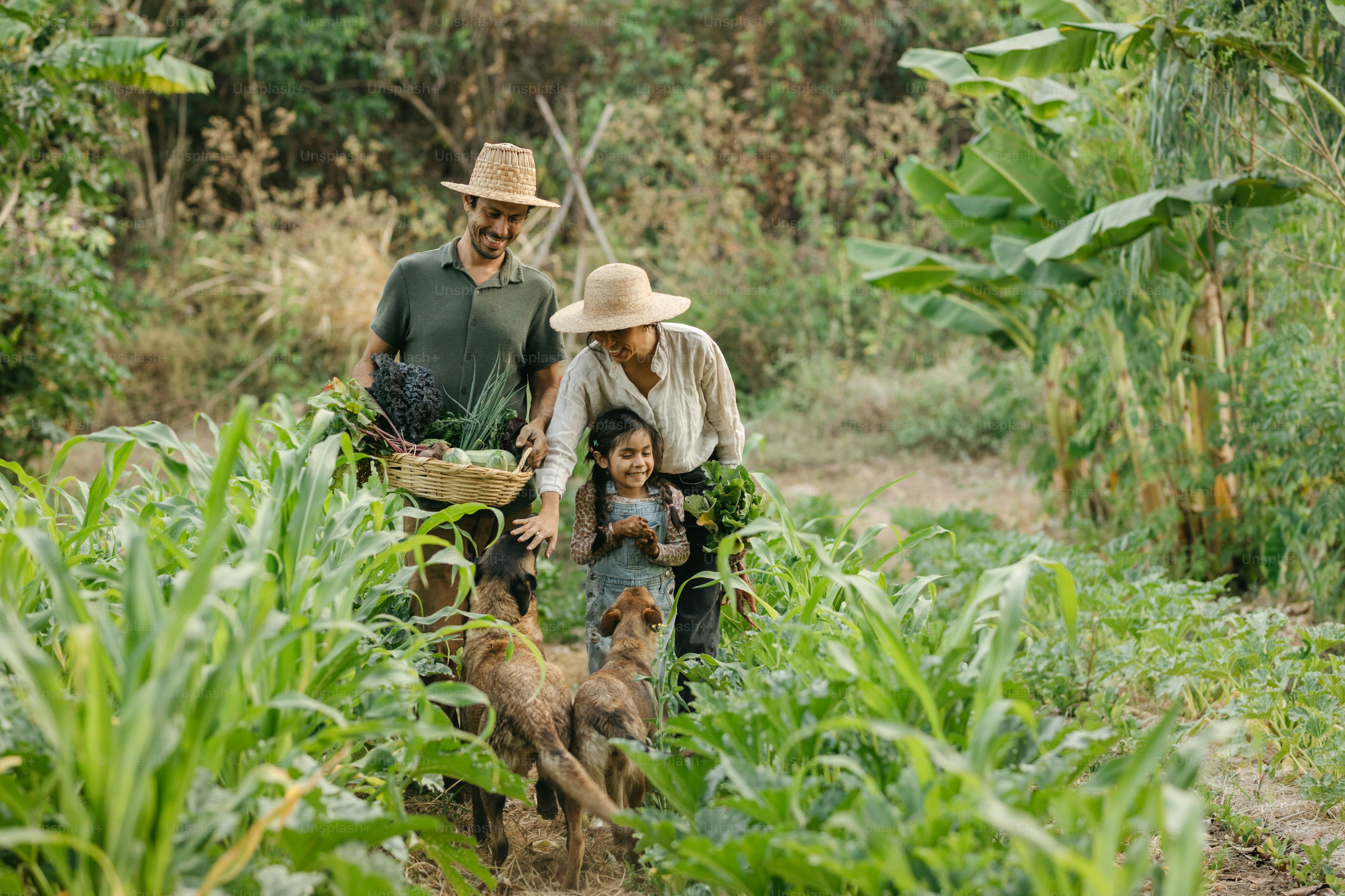 Un gruppo di persone che camminano in una foresta verde lussureggiante