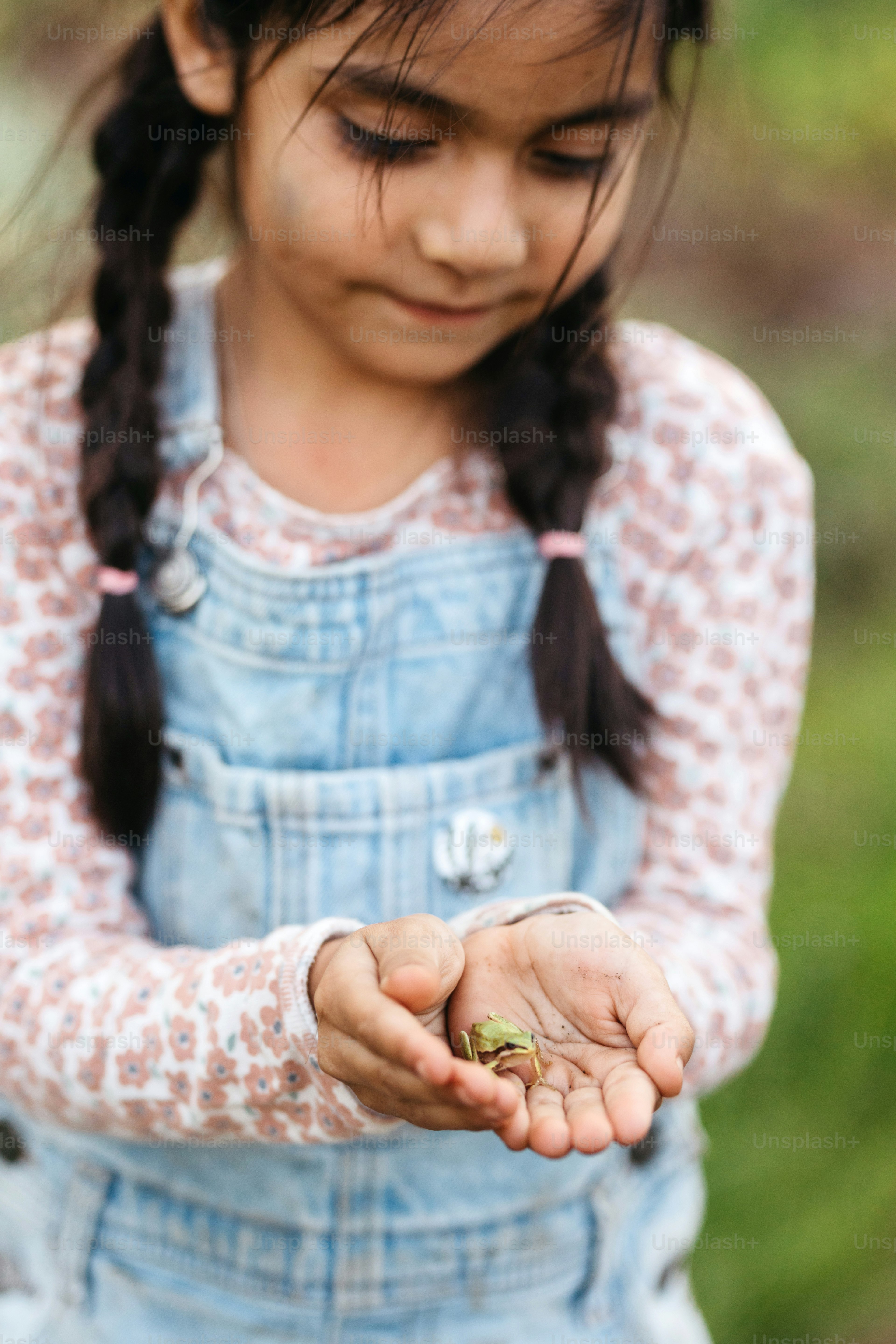 A little girl is holding a frog in her hands