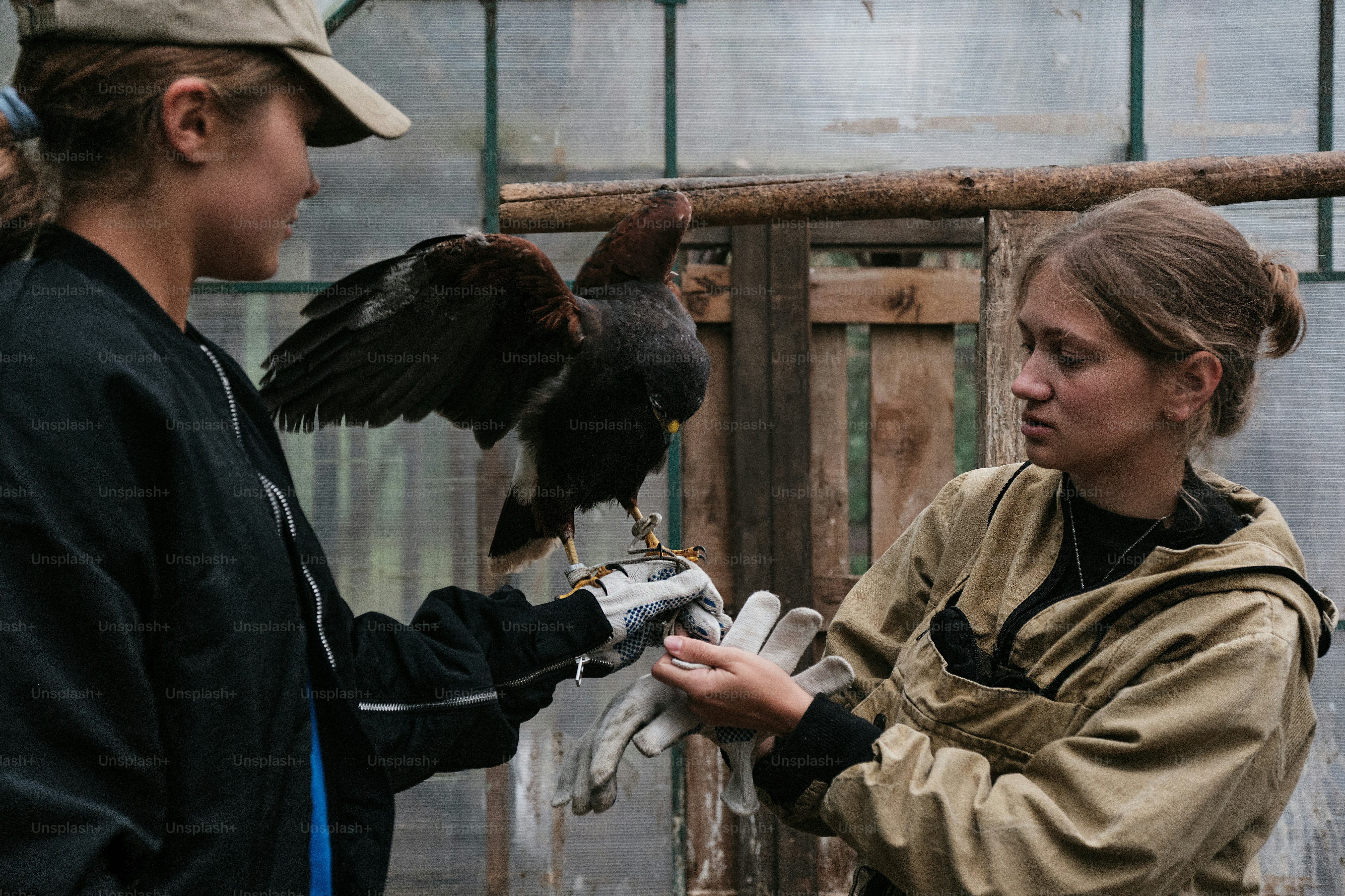 A woman holding a bird in her hands