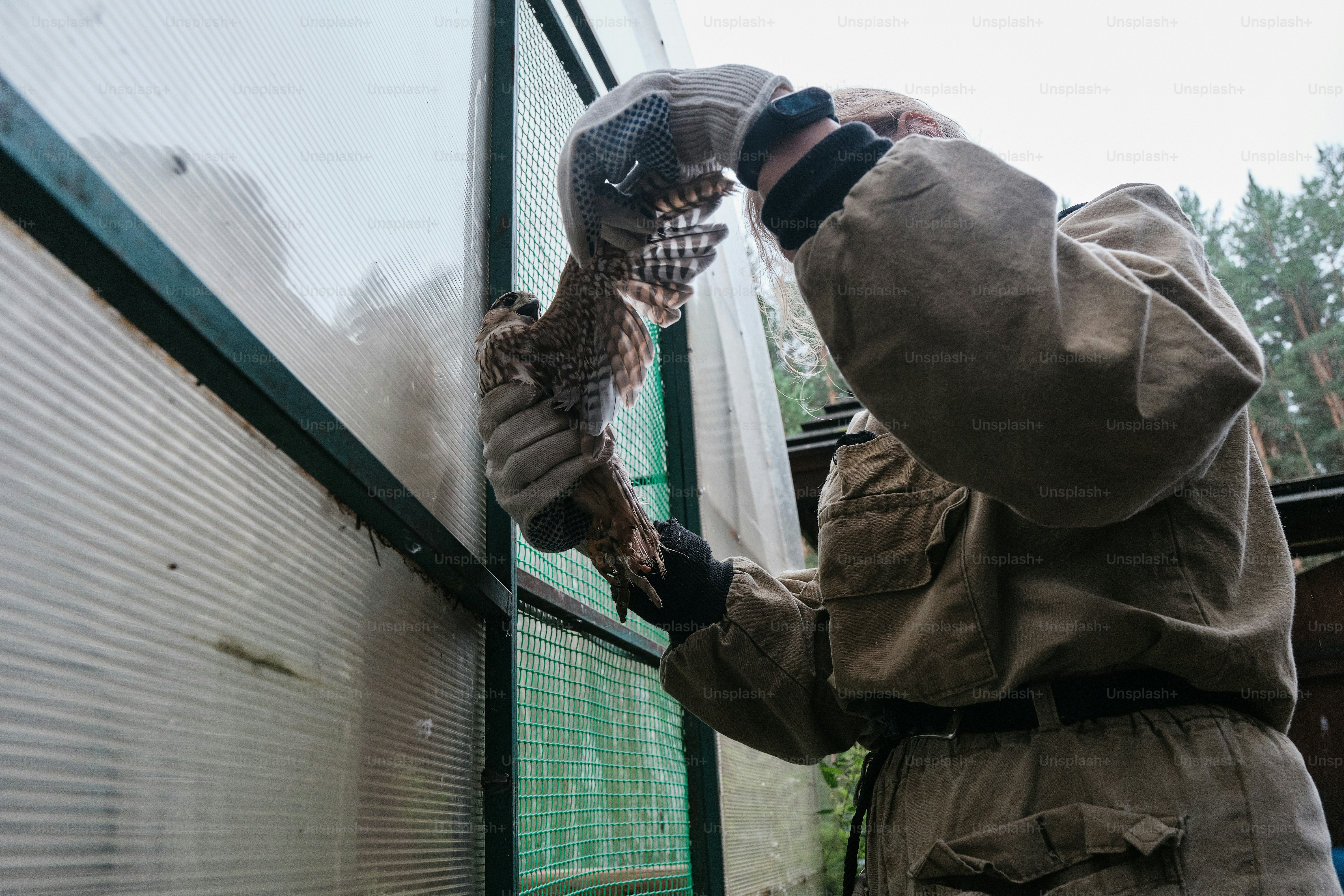 A man in a trench coat holding a large animal