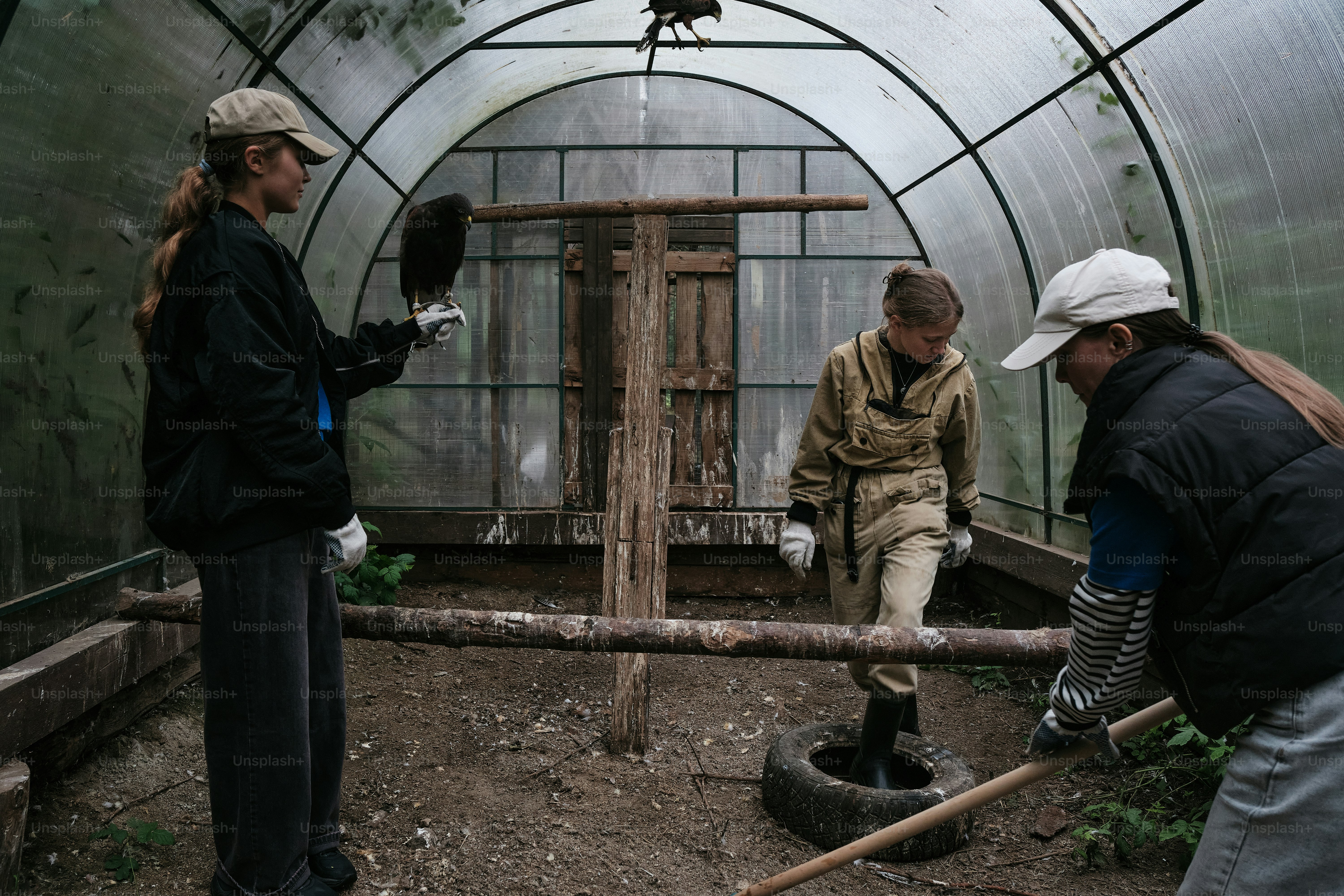 A group of people working in a greenhouse