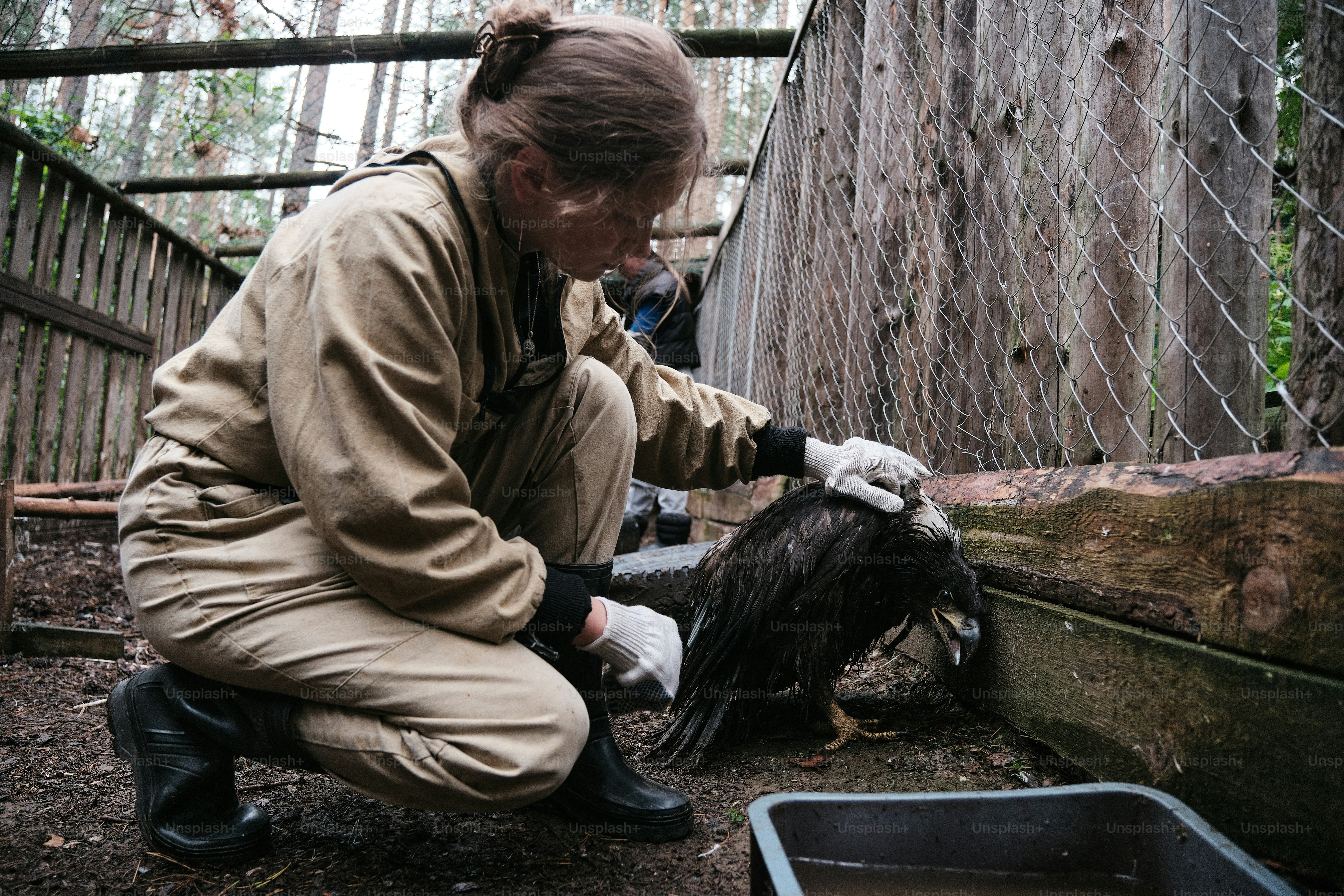A woman kneeling down next to a bird