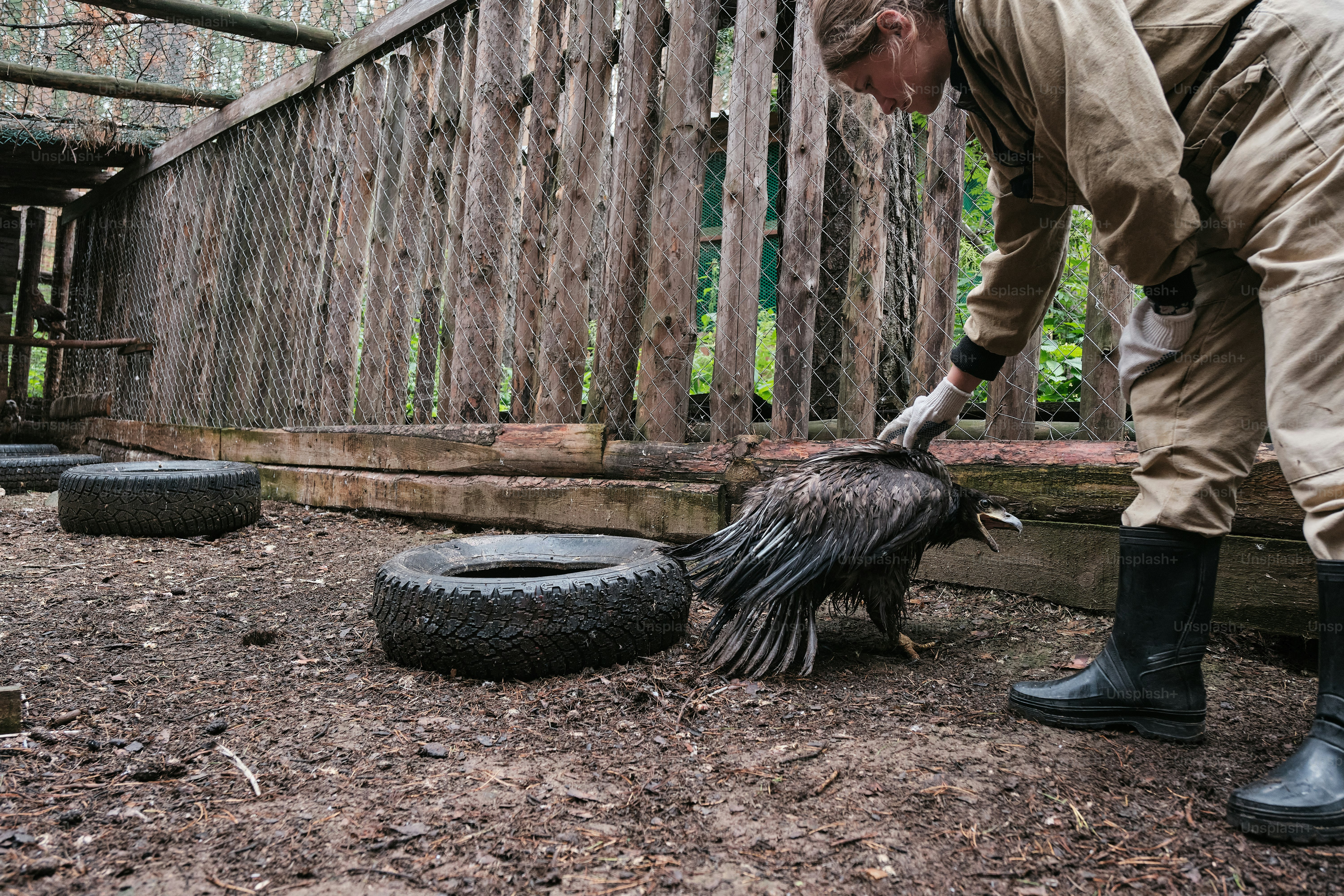 A man is cleaning a bird in a cage