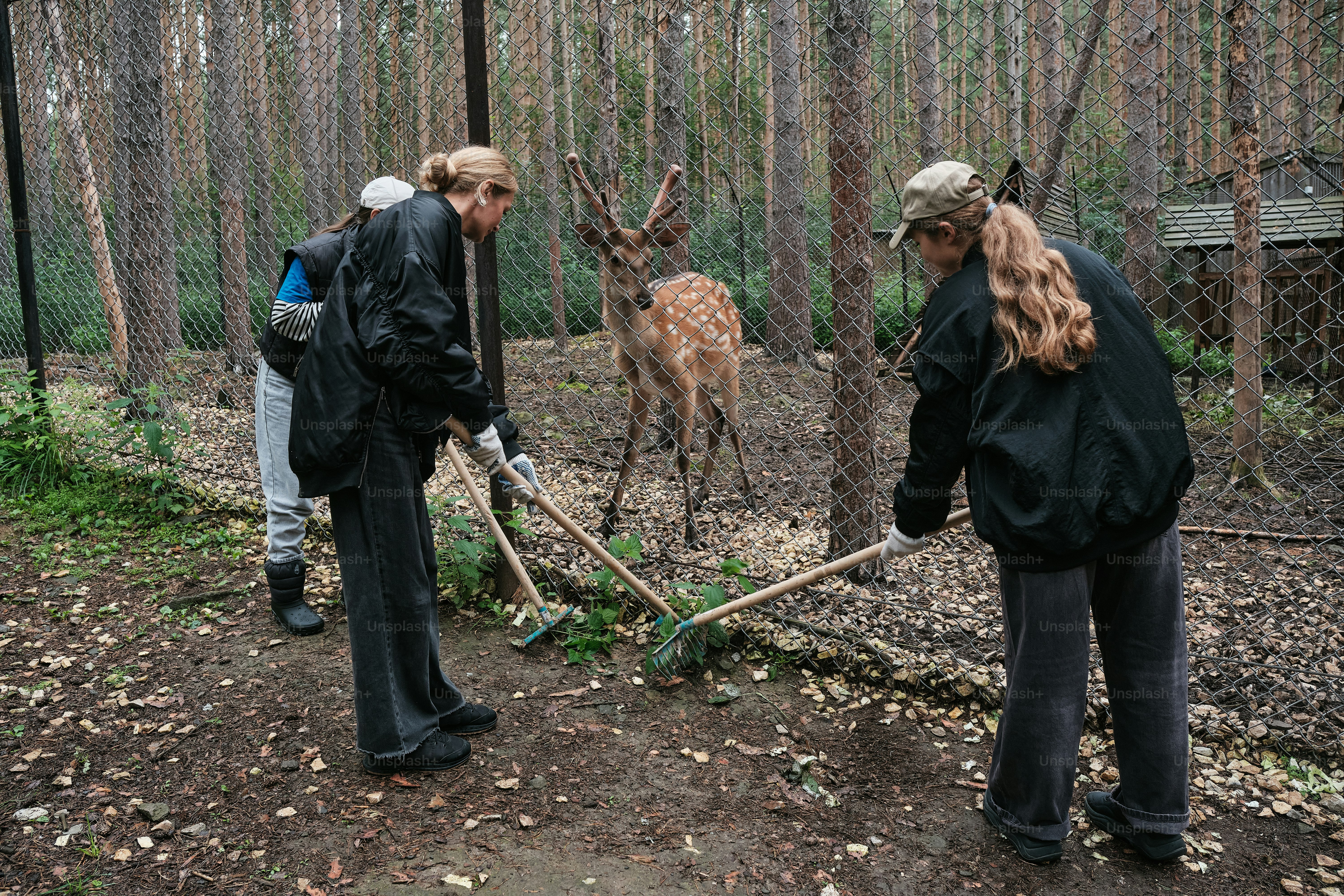 フェンスの隣に立つ人々のグループ
