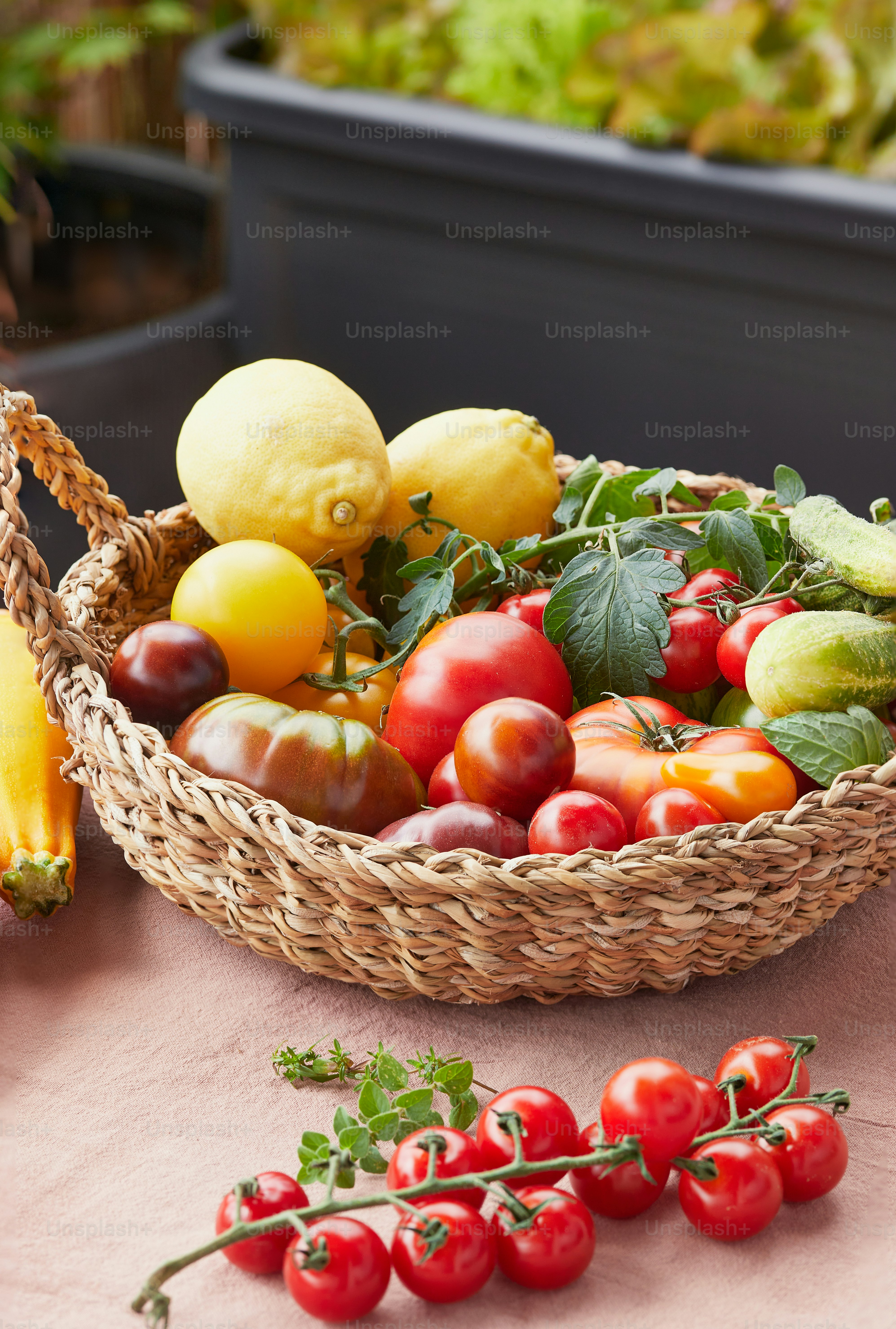 A basket filled with lots of different types of vegetables photo – Garden  Image on Unsplash, image size:3000x4449
