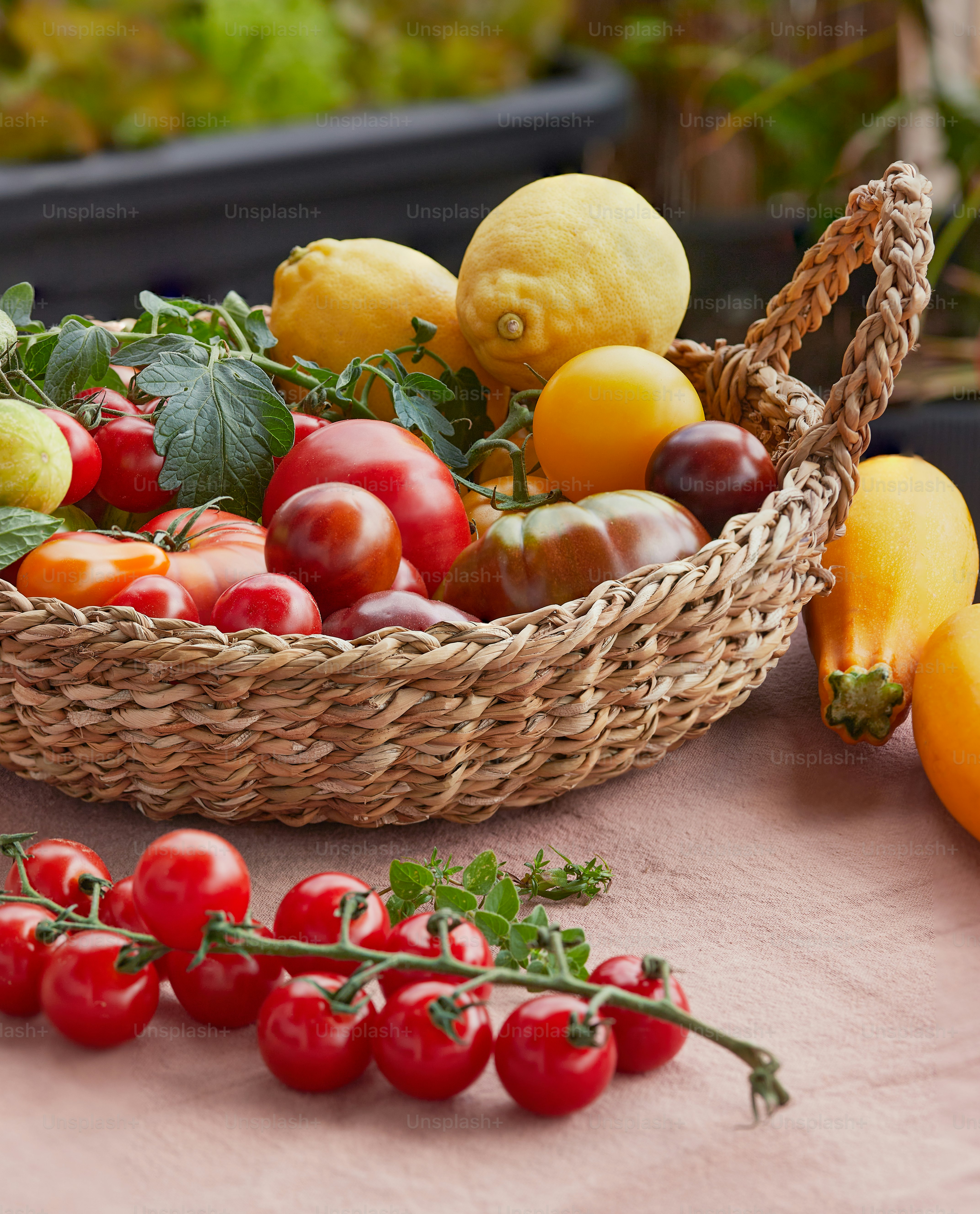 Un panier rempli de nombreux types de fruits différents