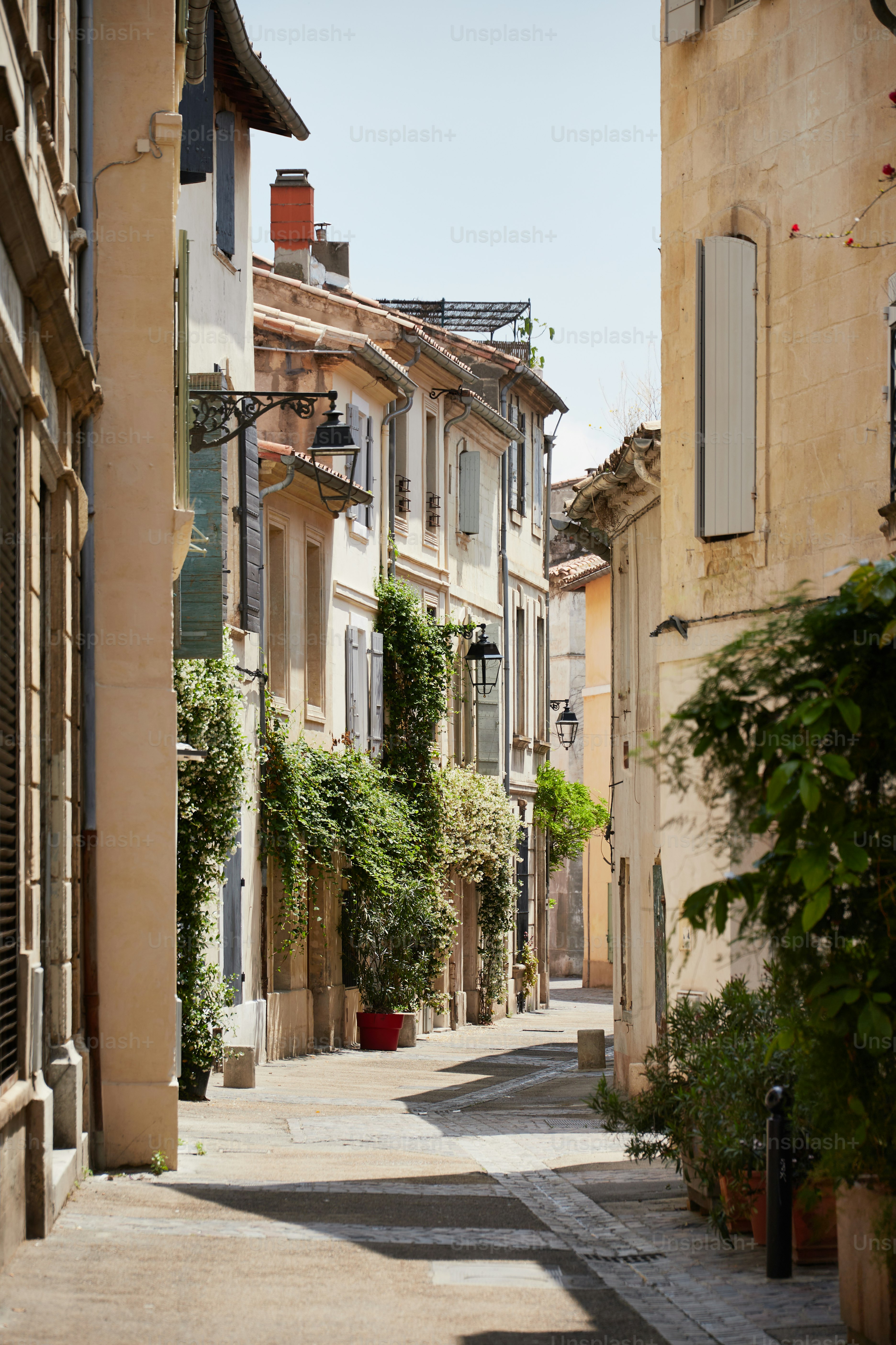 A narrow street lined with buildings and plants