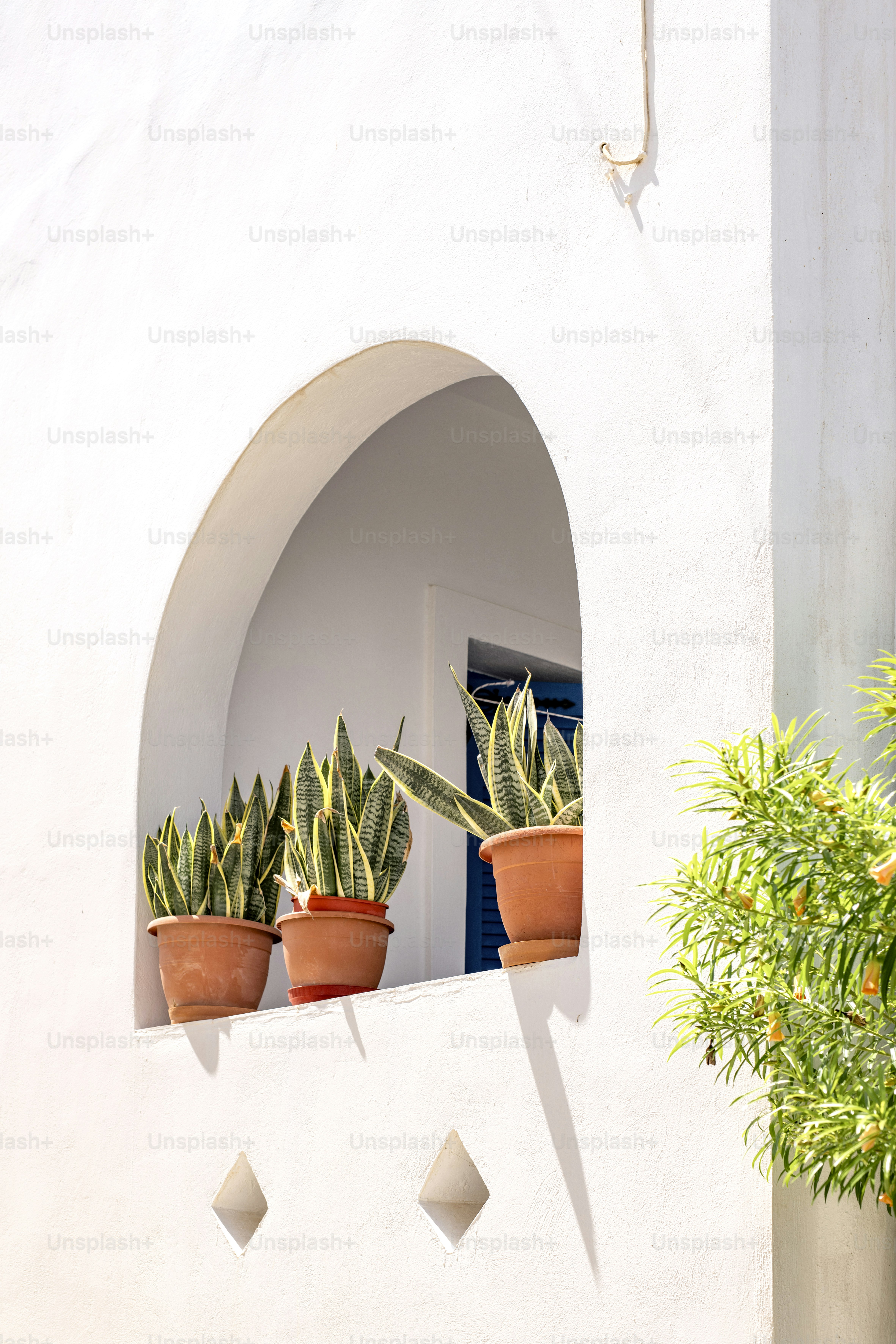 Quelques plantes en pot posées sur le rebord d’une fenêtre