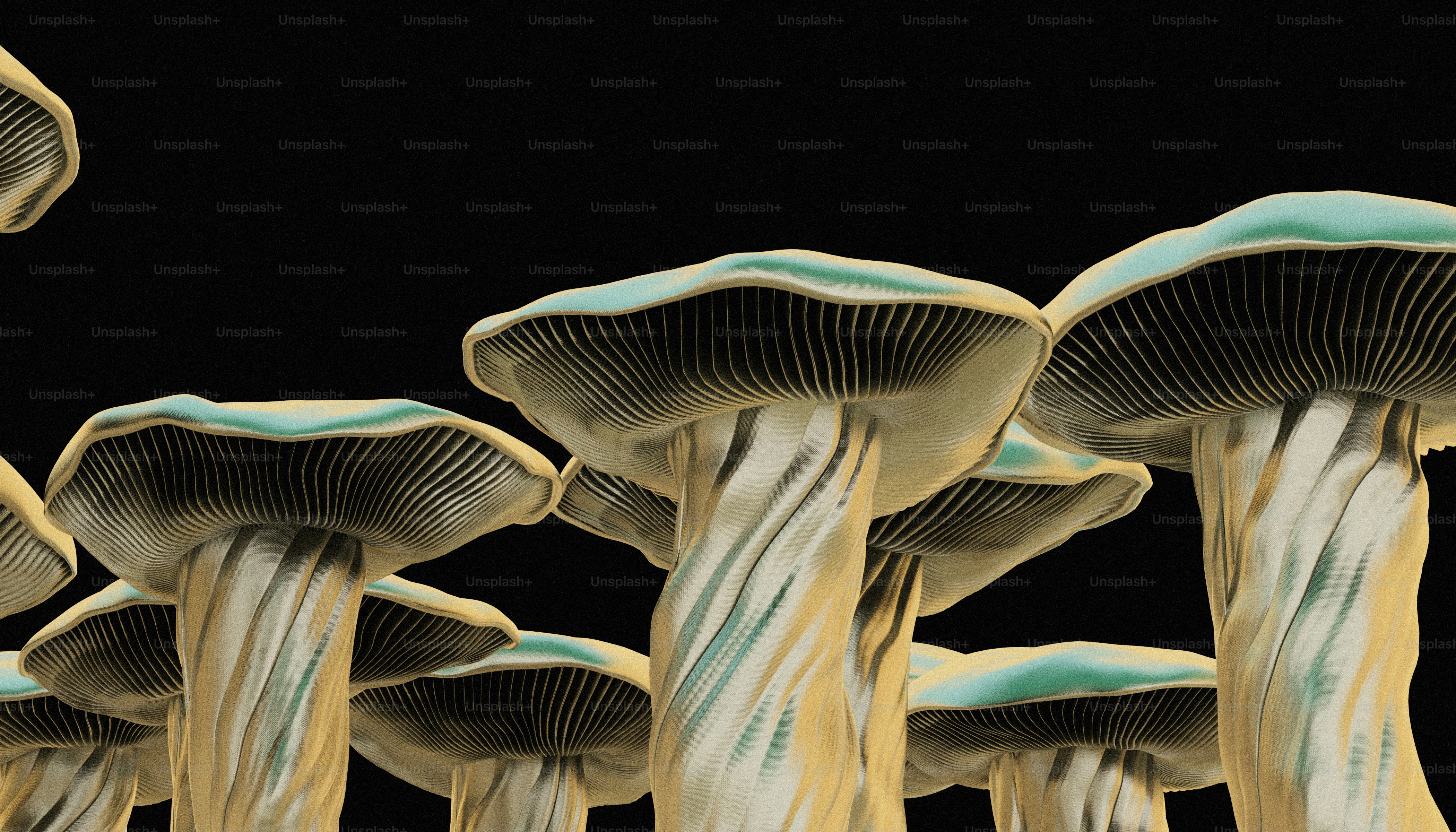 Eine Gruppe von Pilzen mit schwarzem Hintergrund