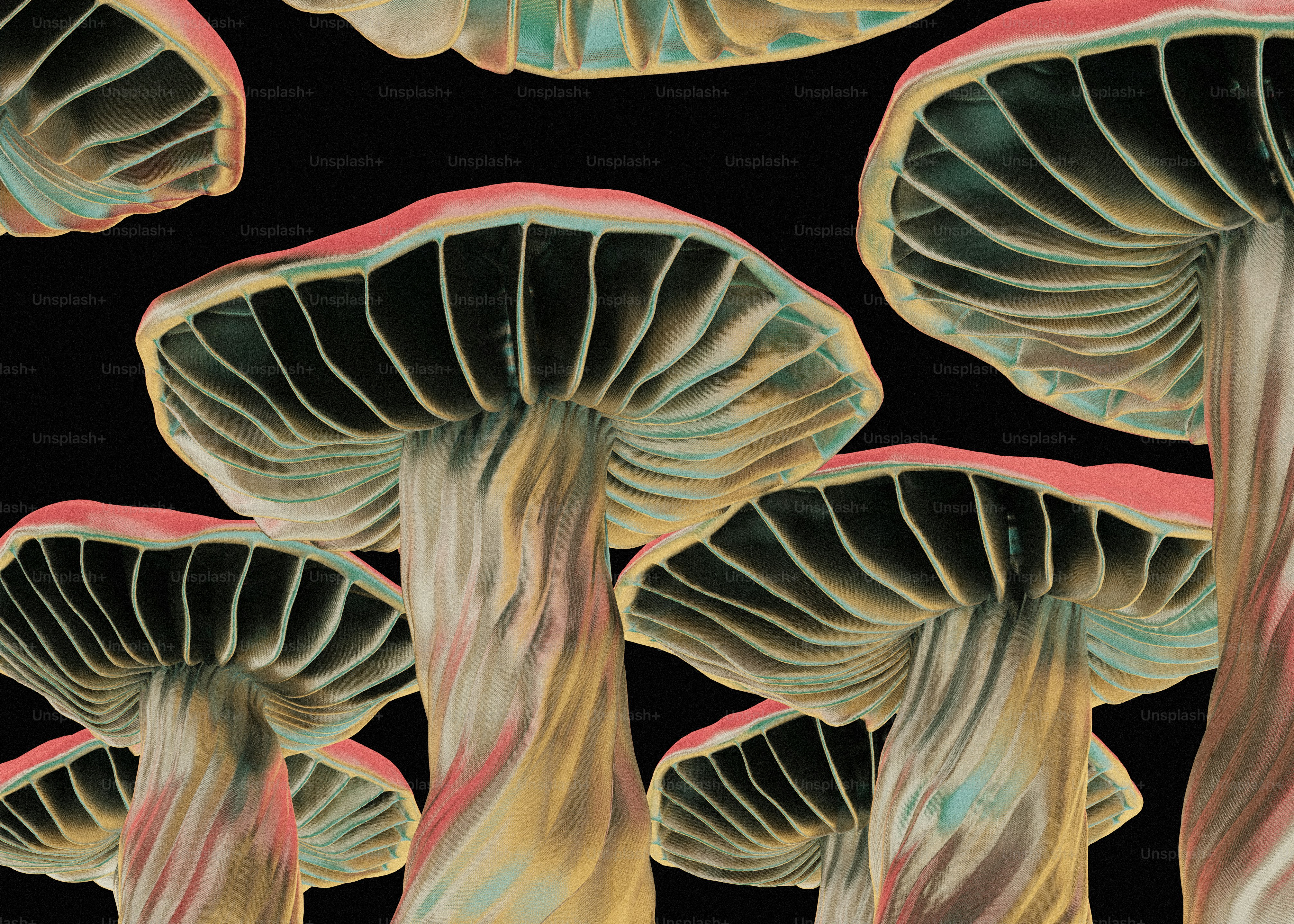 A group of mushrooms with a black background