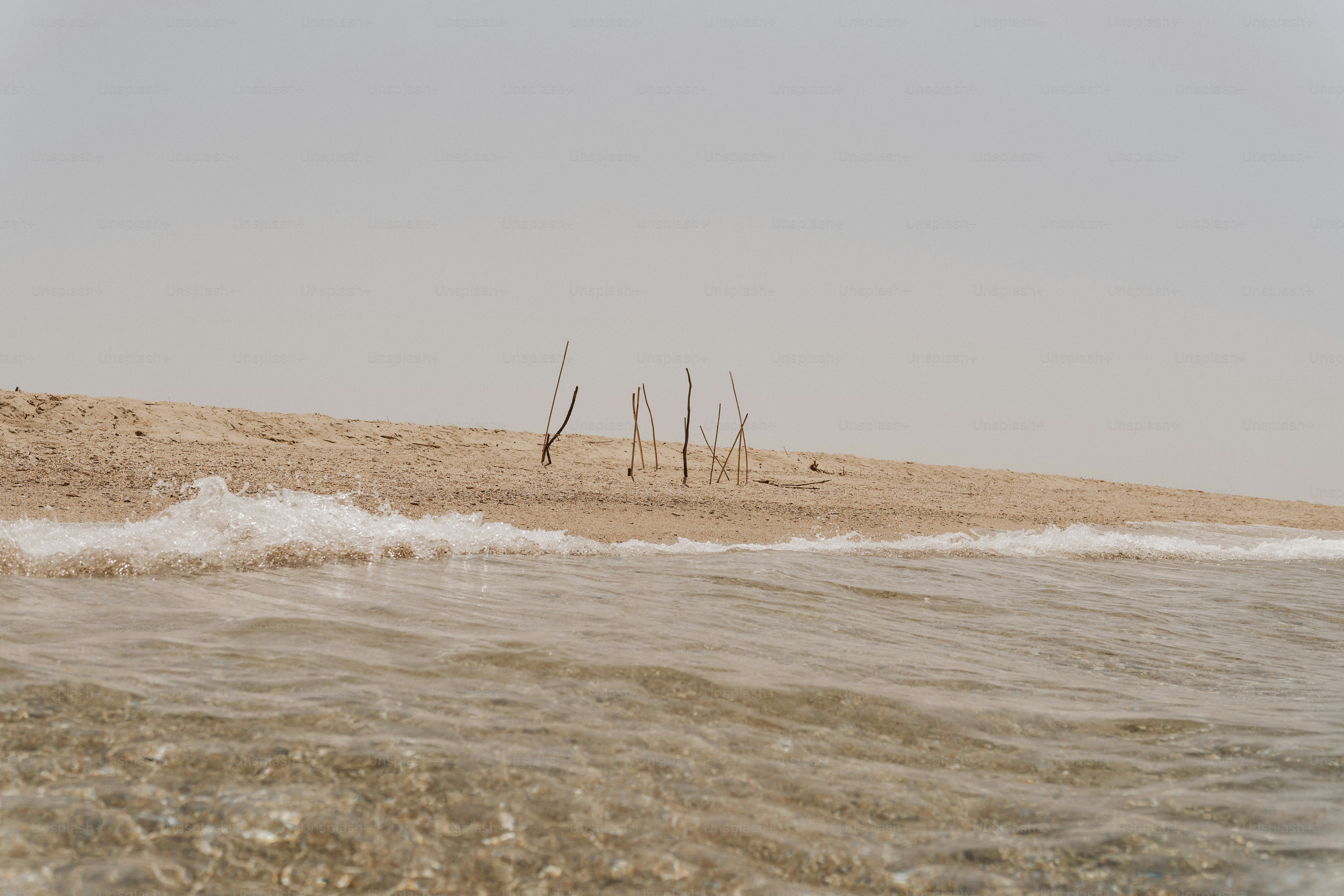 A body of water sitting next to a sandy beach