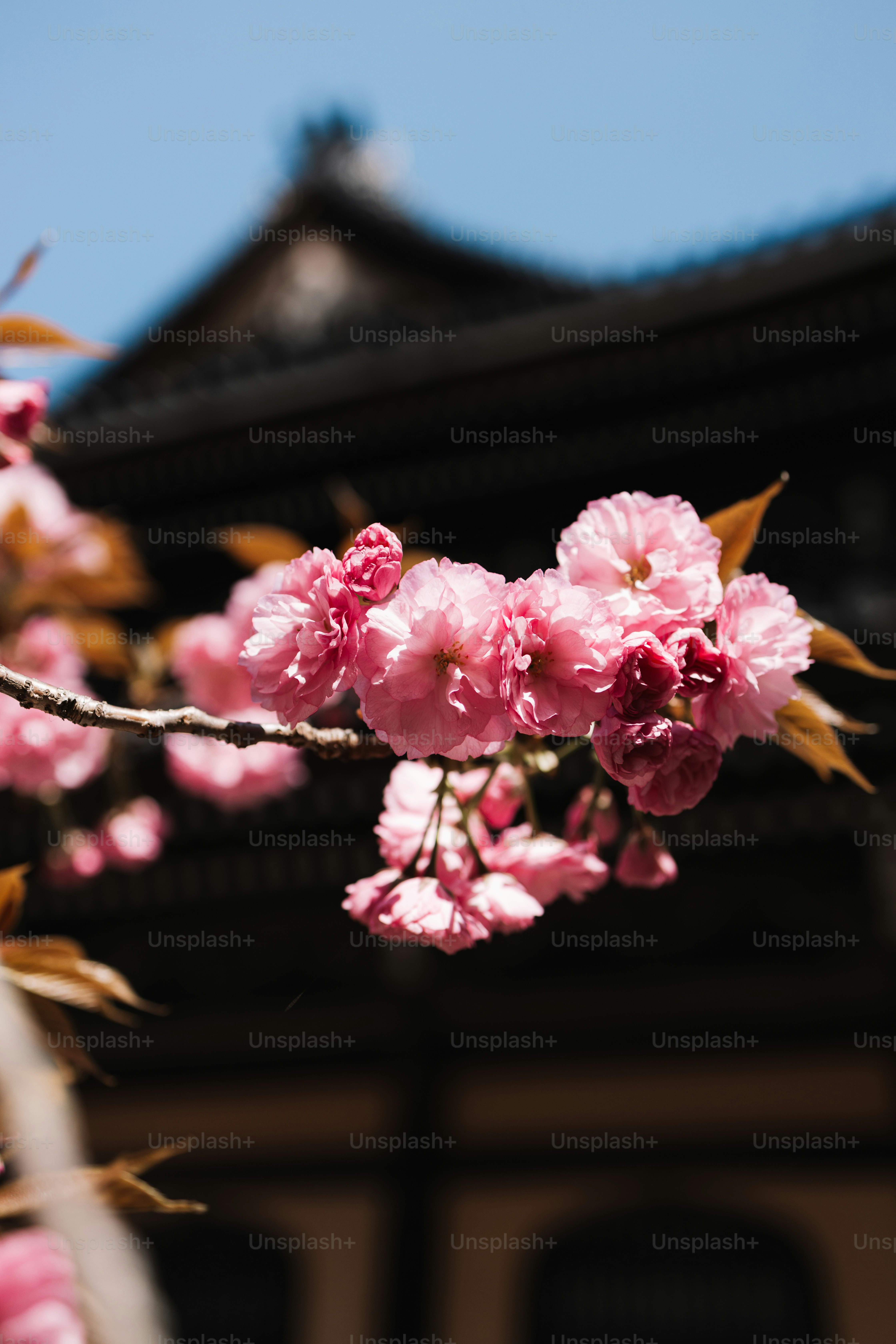 Windows 11 desktop interface showing update notification