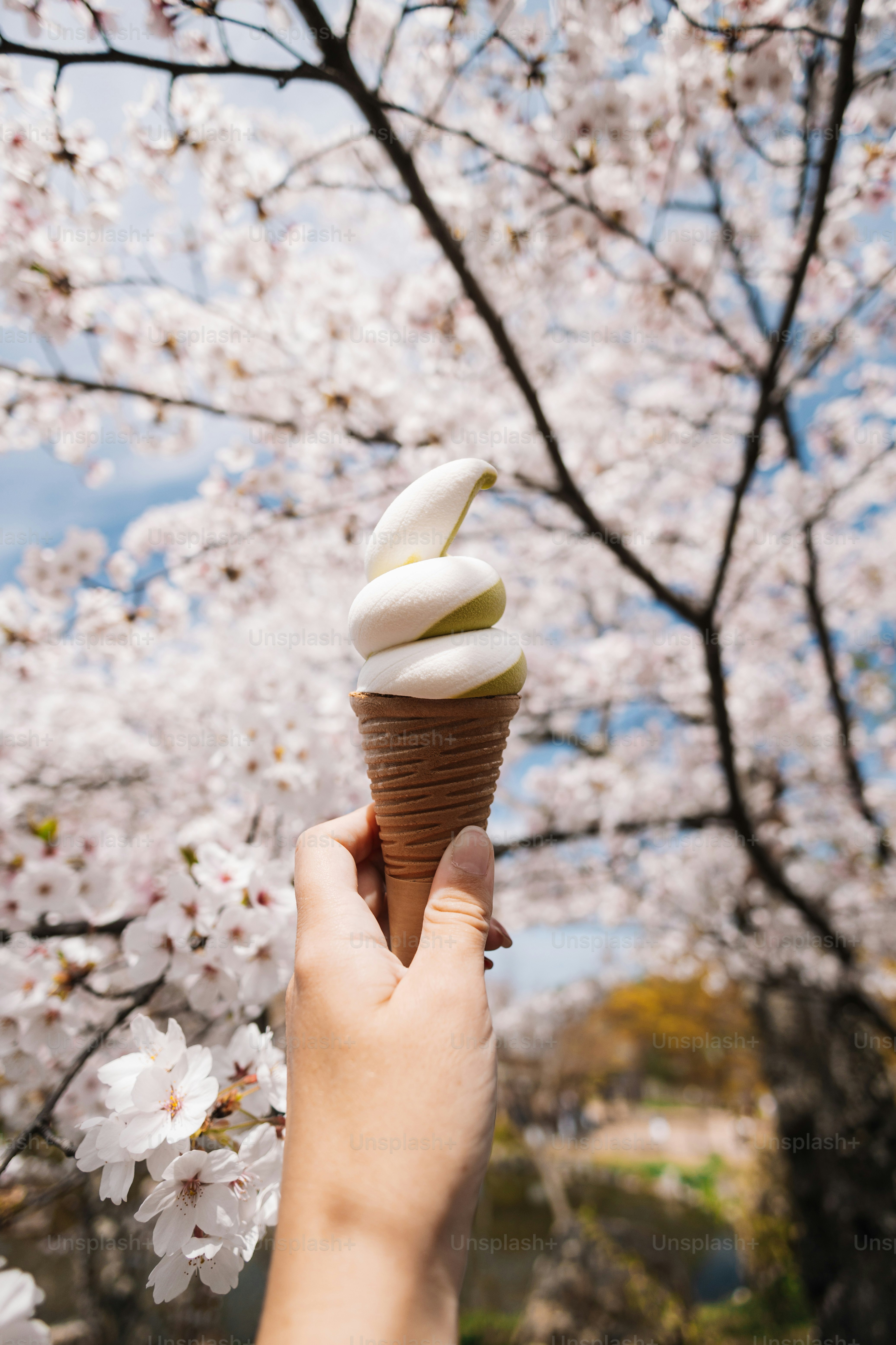 Una persona sosteniendo una magdalena frente a un árbol