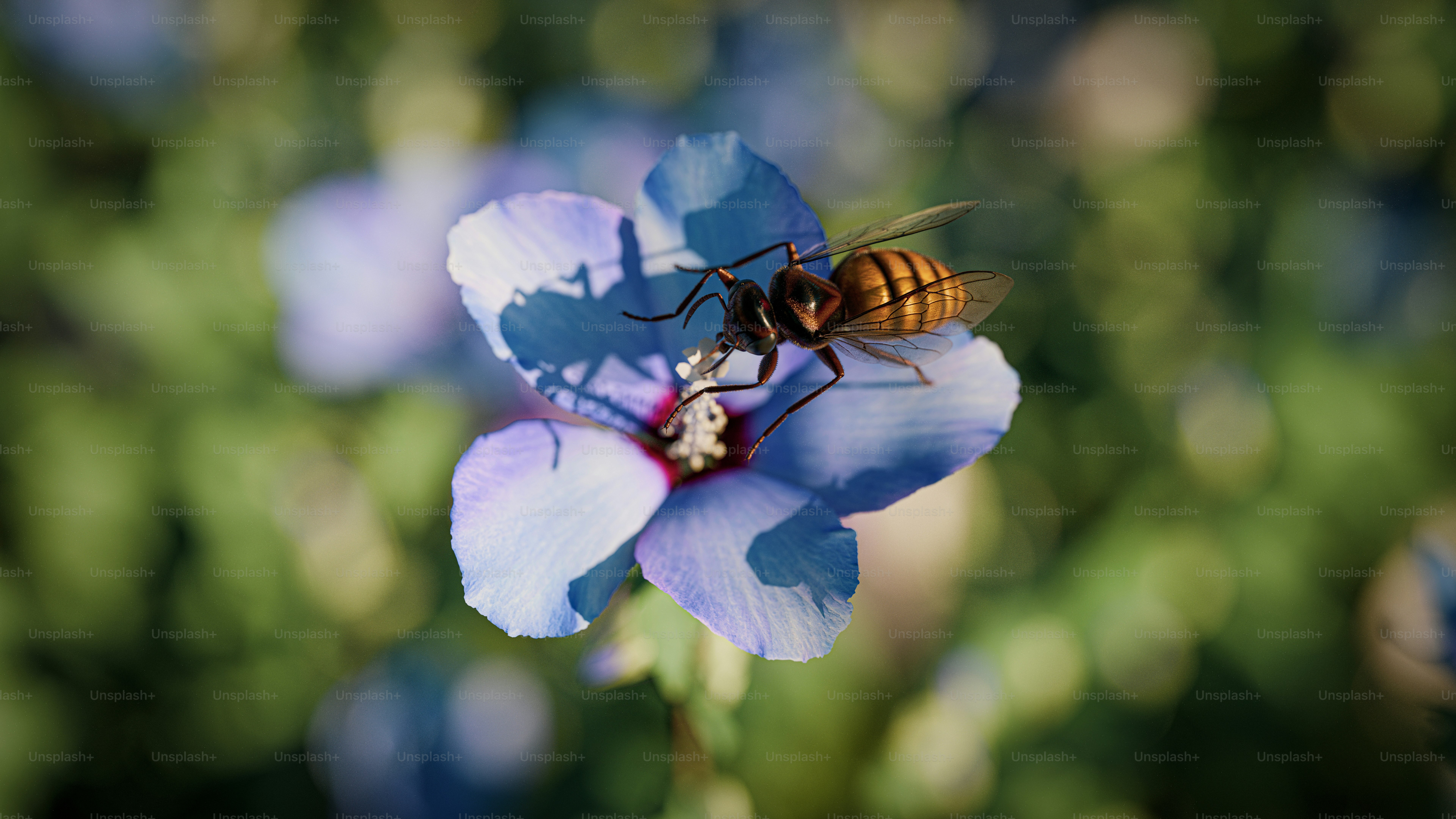 A bee sitting on top of a blue flower