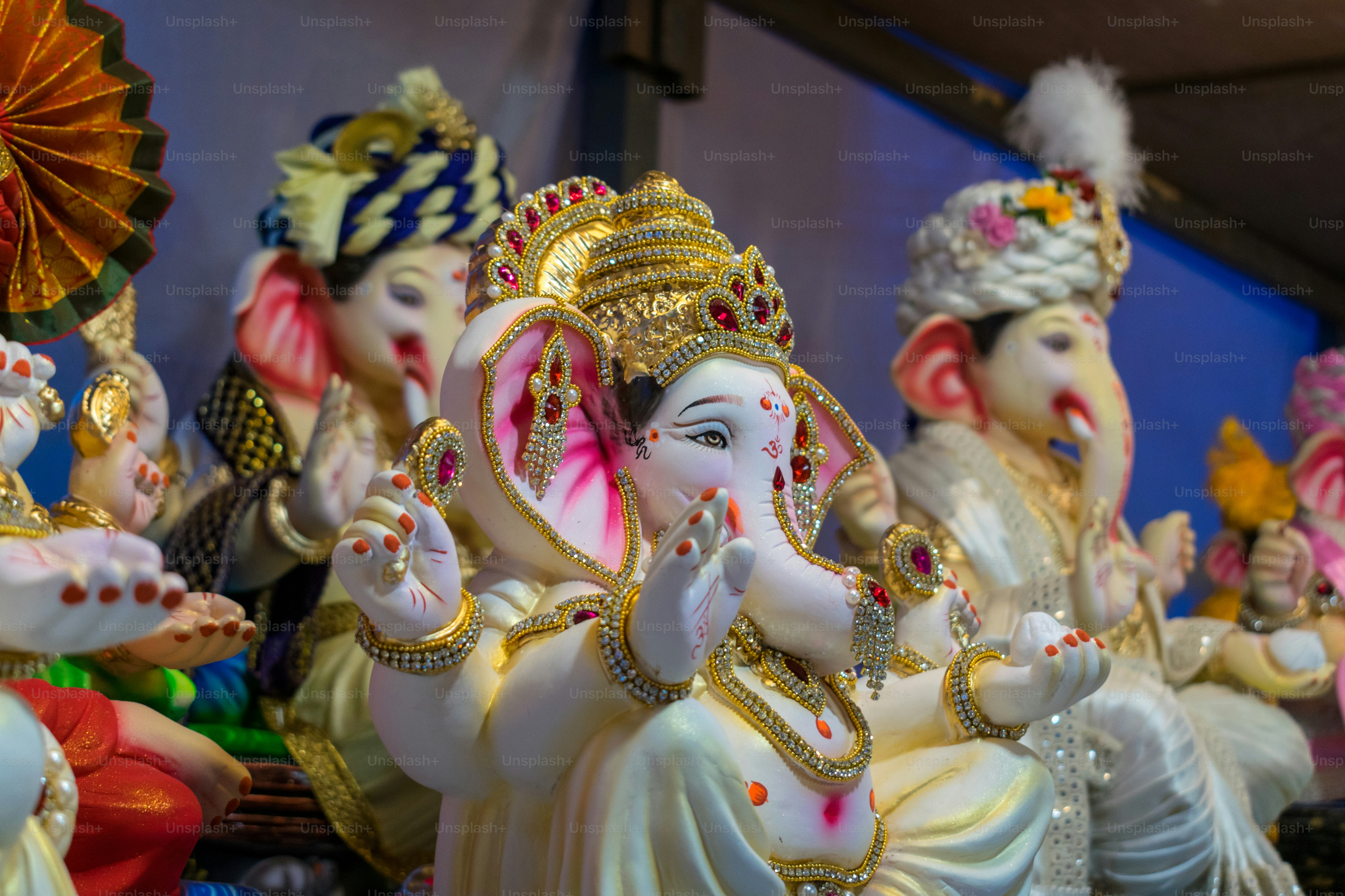 Eine Gruppe von Menschen, die vor Elefanten sitzen