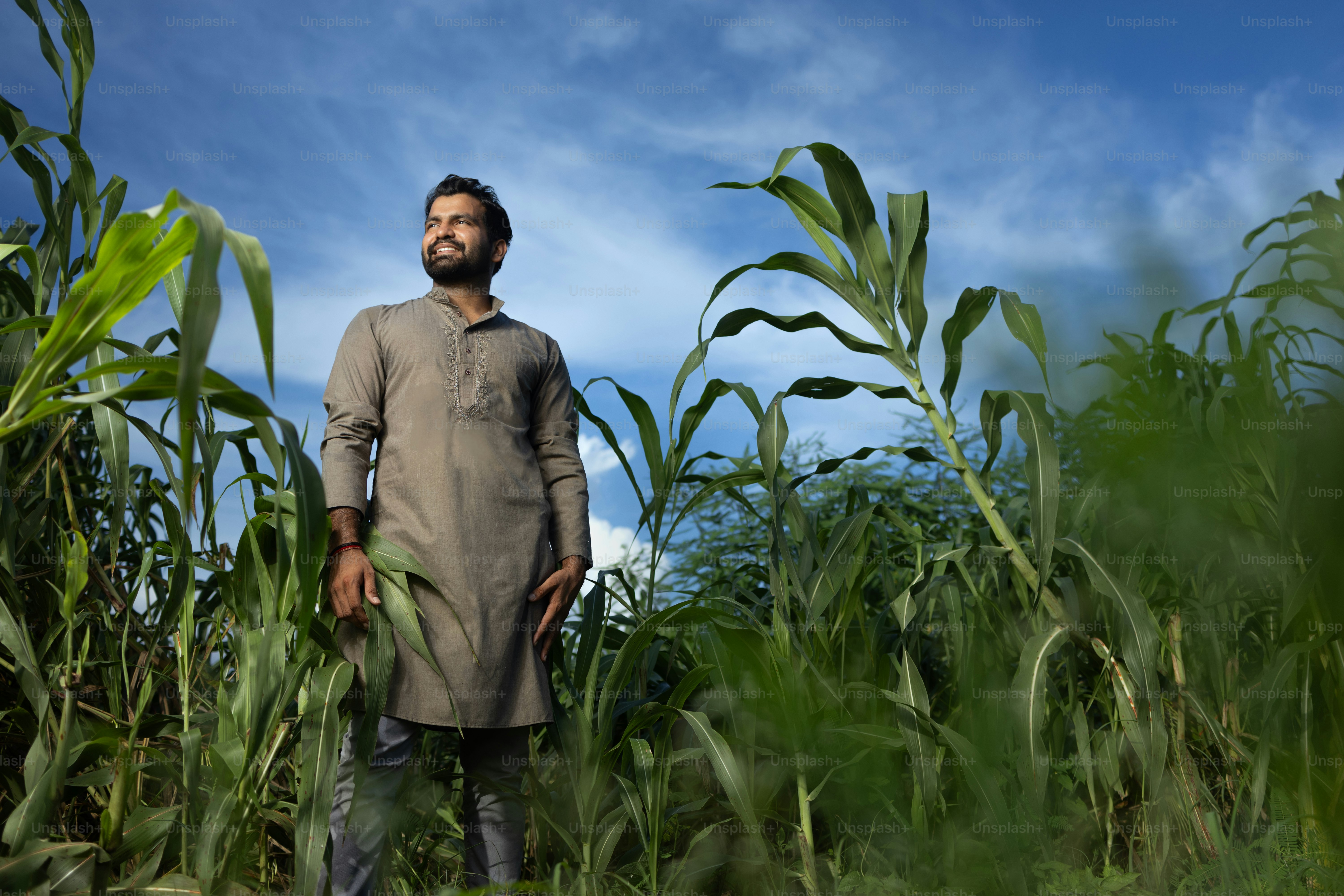 A man standing in a field of tall grass photo – Agriculture Image on ...
