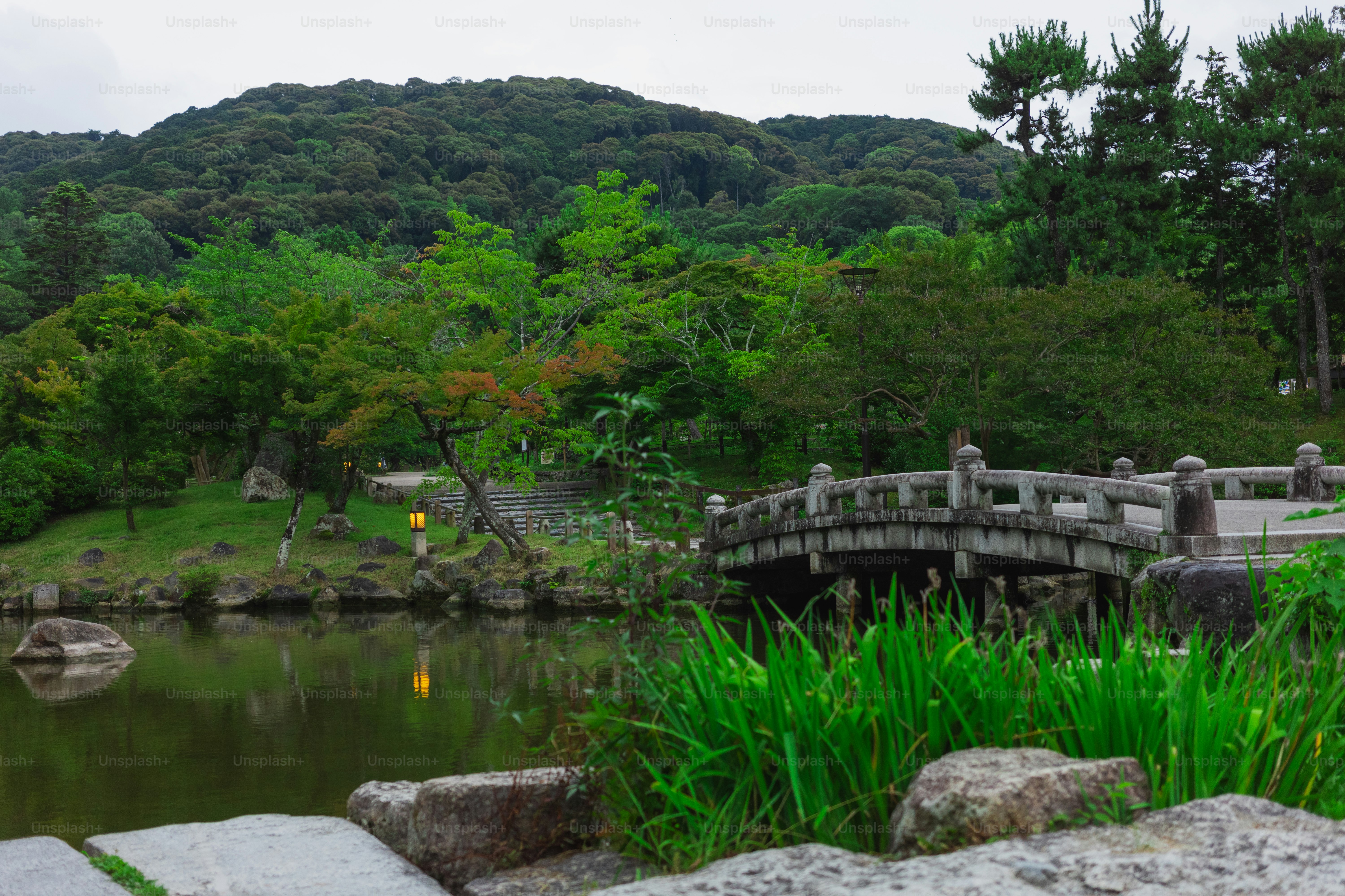 강원도갯골자연휴양림