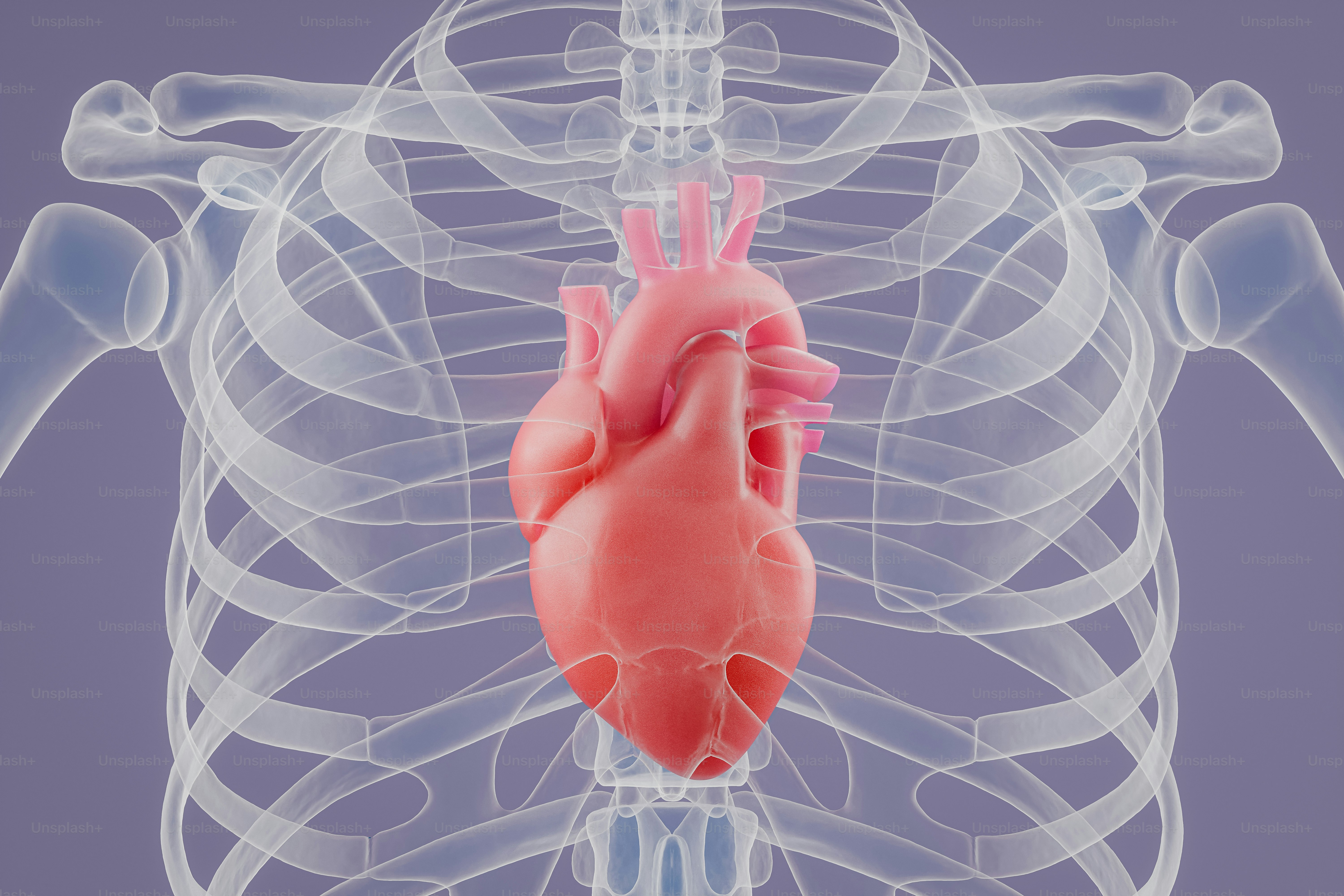 Ventripoint to Launch Reference Site Programme to Deepen Collaborations with Hospital Partners