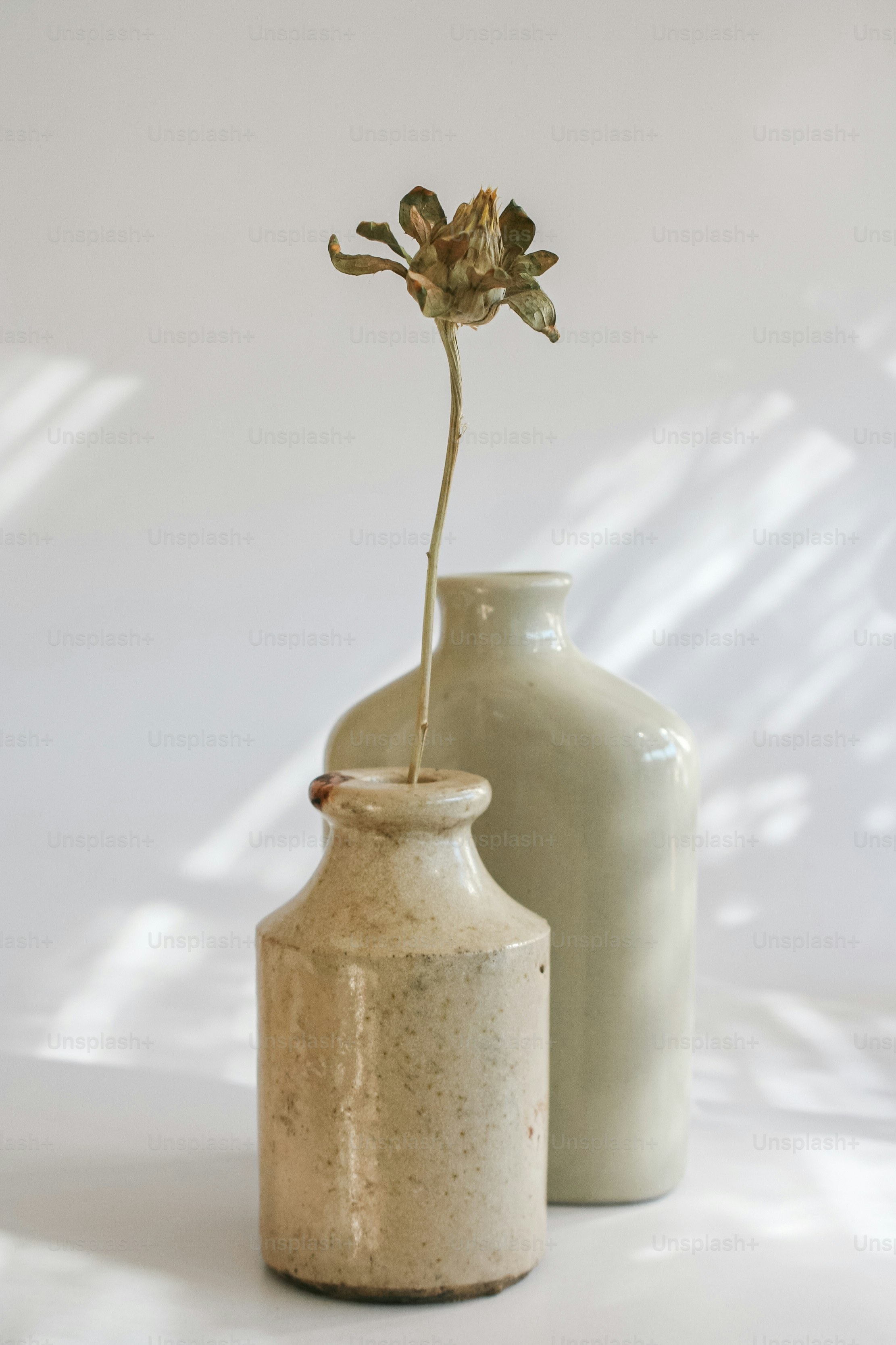 꽃 한 송이가 들어 있는 흰색 꽃병 두 개