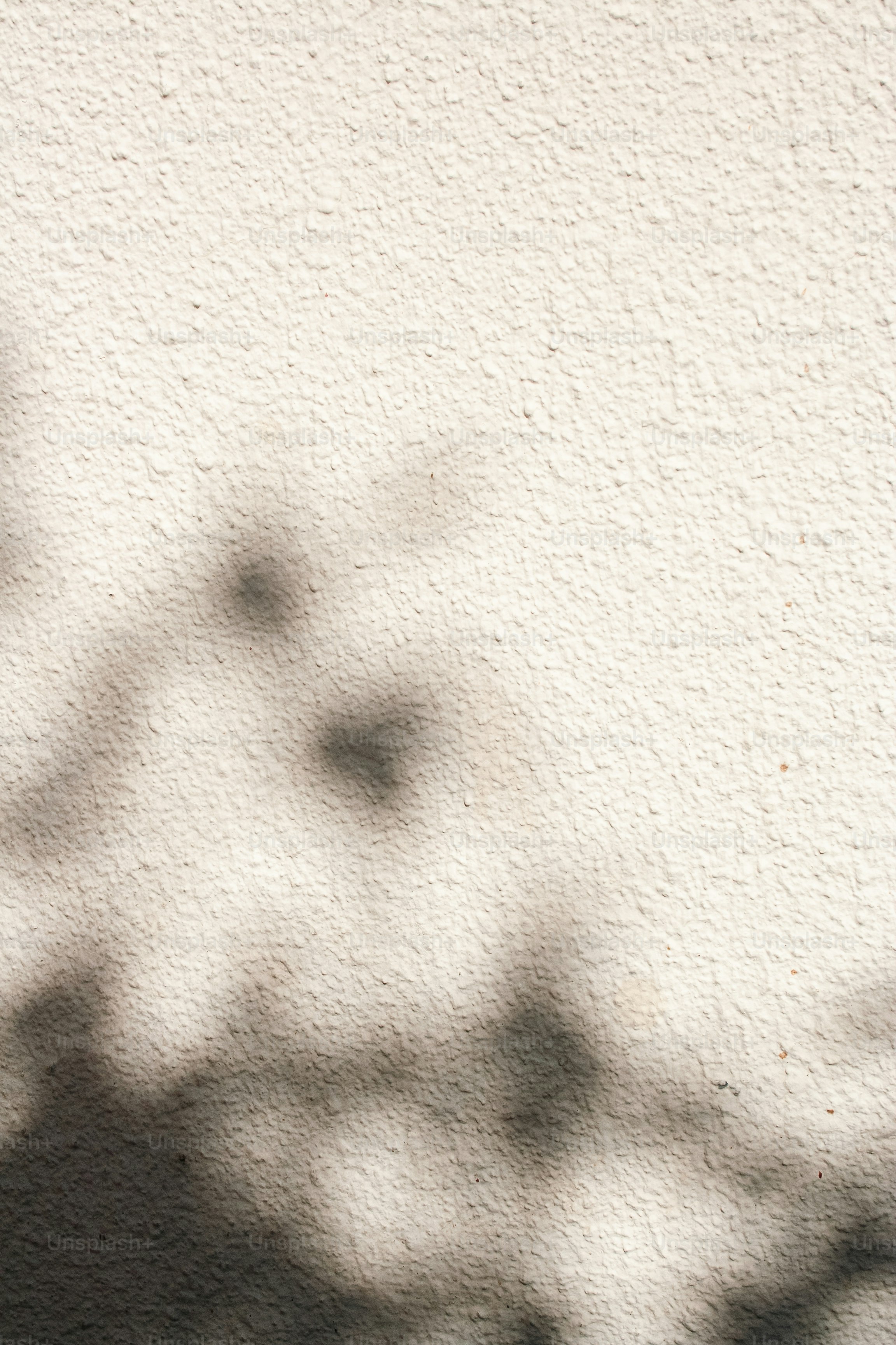 A shadow of a plant on a wall