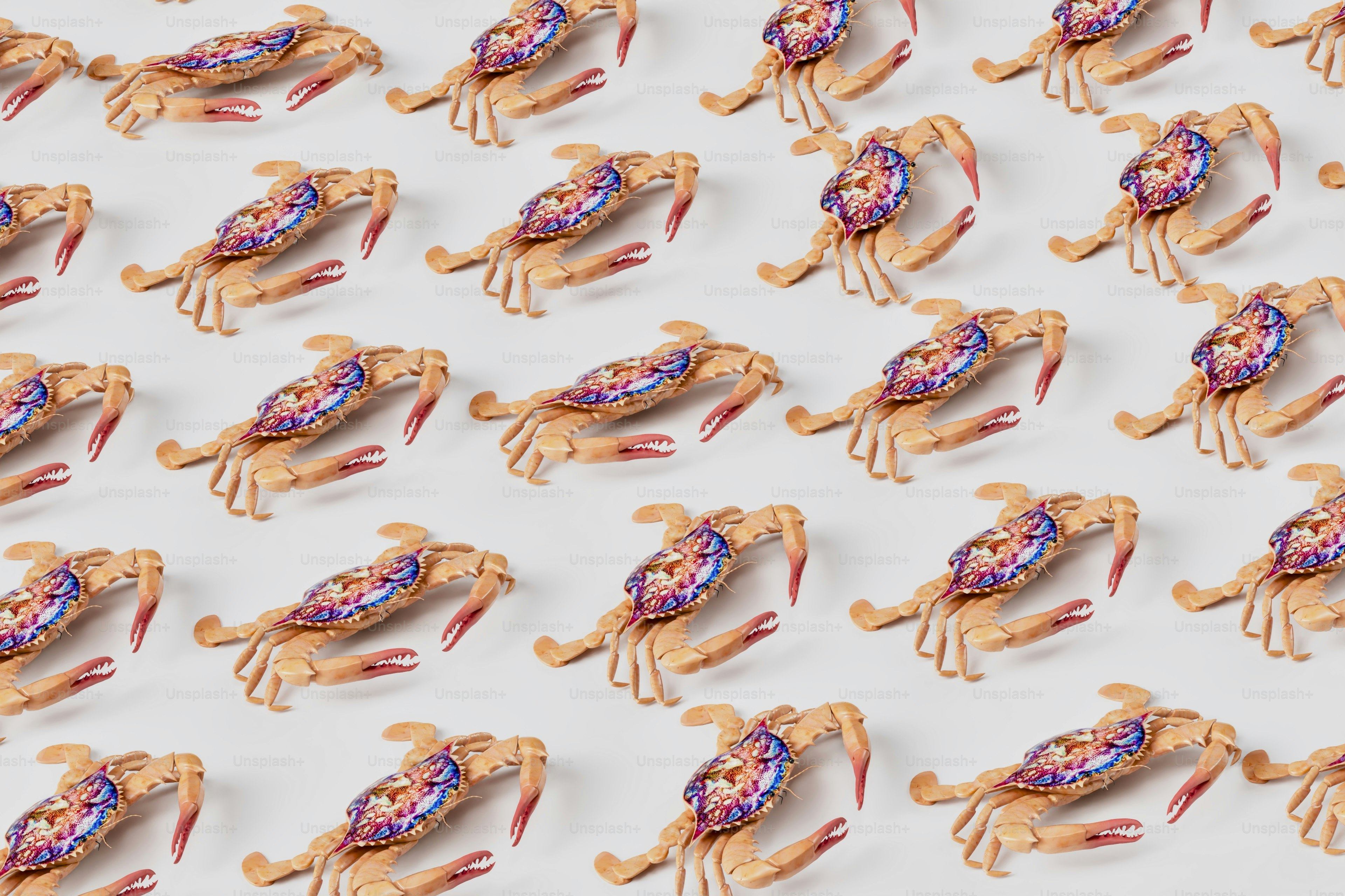 A group of small toy crabs on a white surface