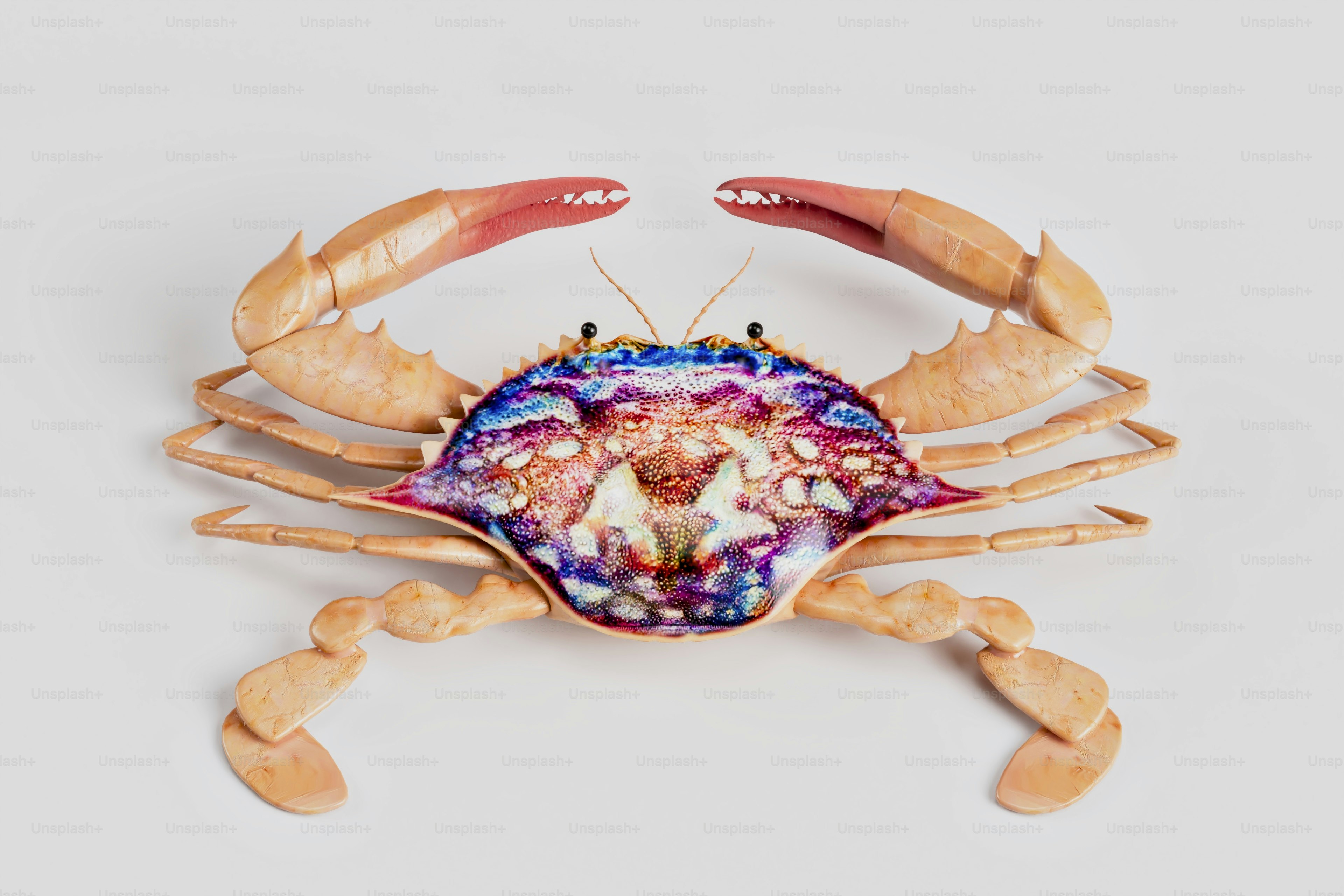 色とりどりの甲羅を持つ木でできたカニ