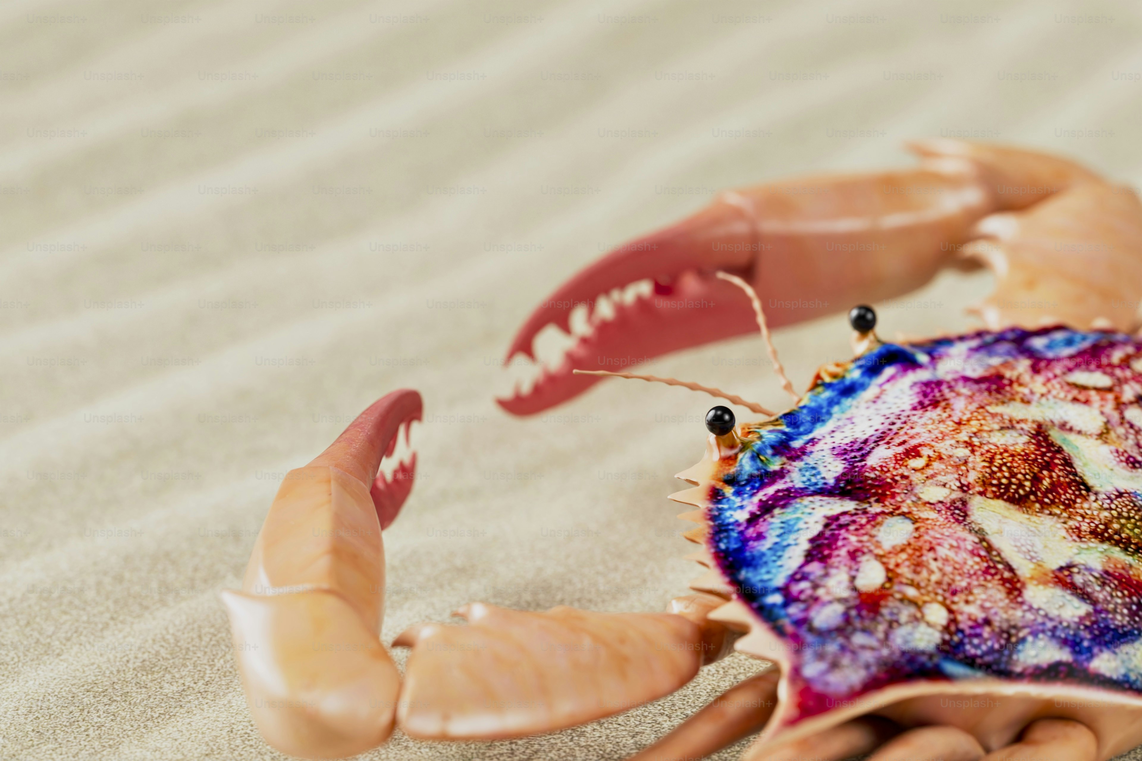 A toy crab is sitting on the sand