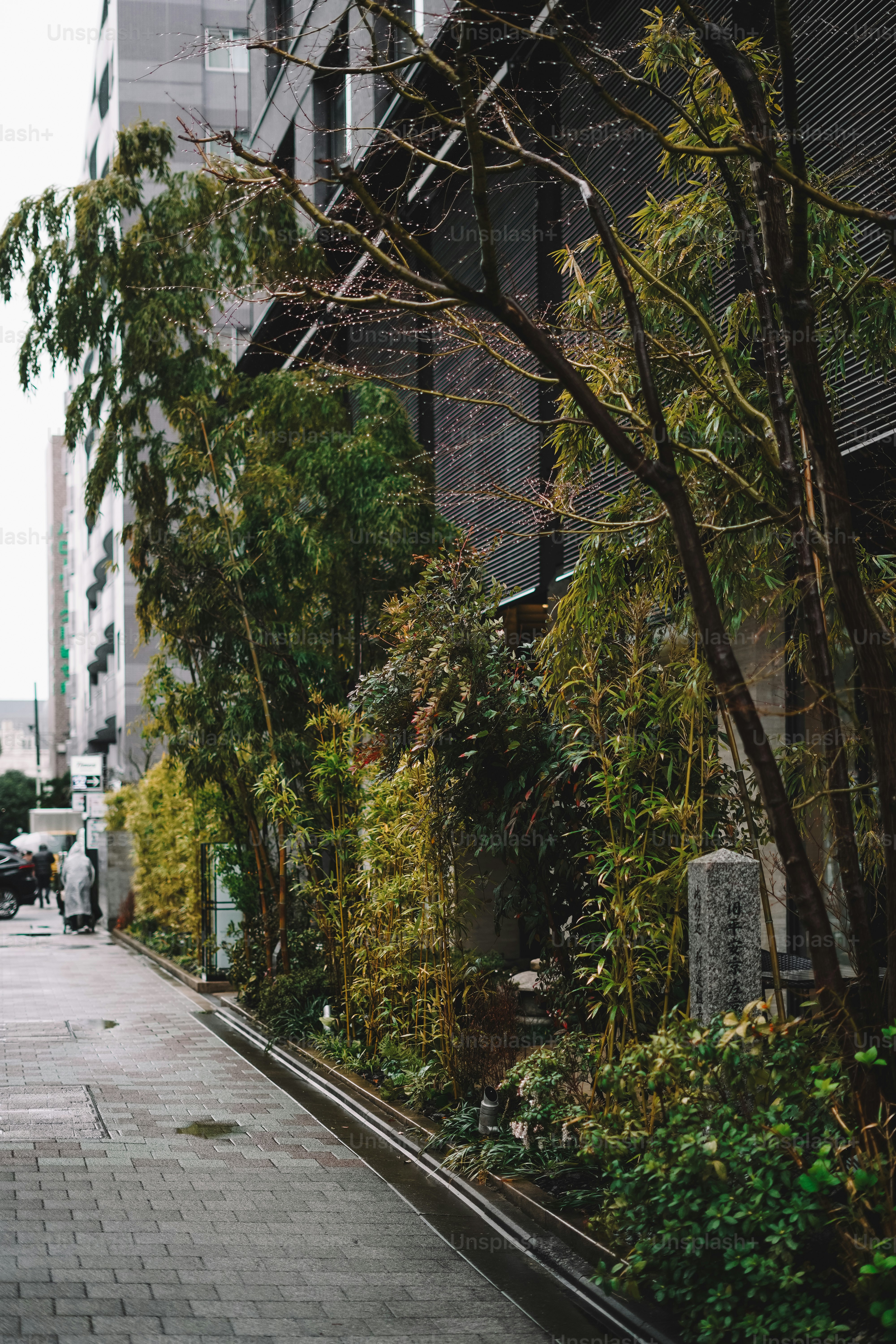 A man walking down a street next to tall buildings