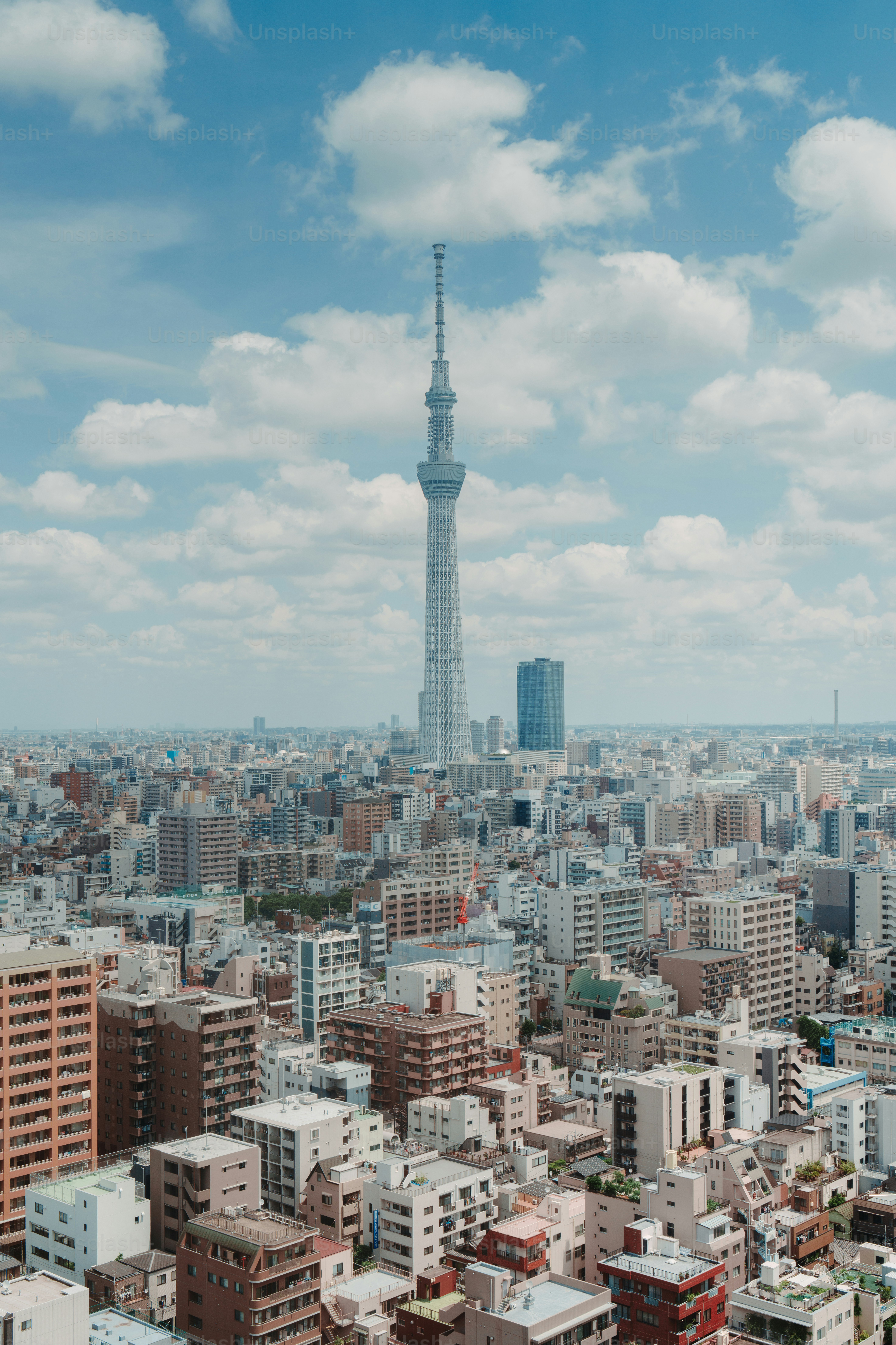 A view of a city with tall buildings
