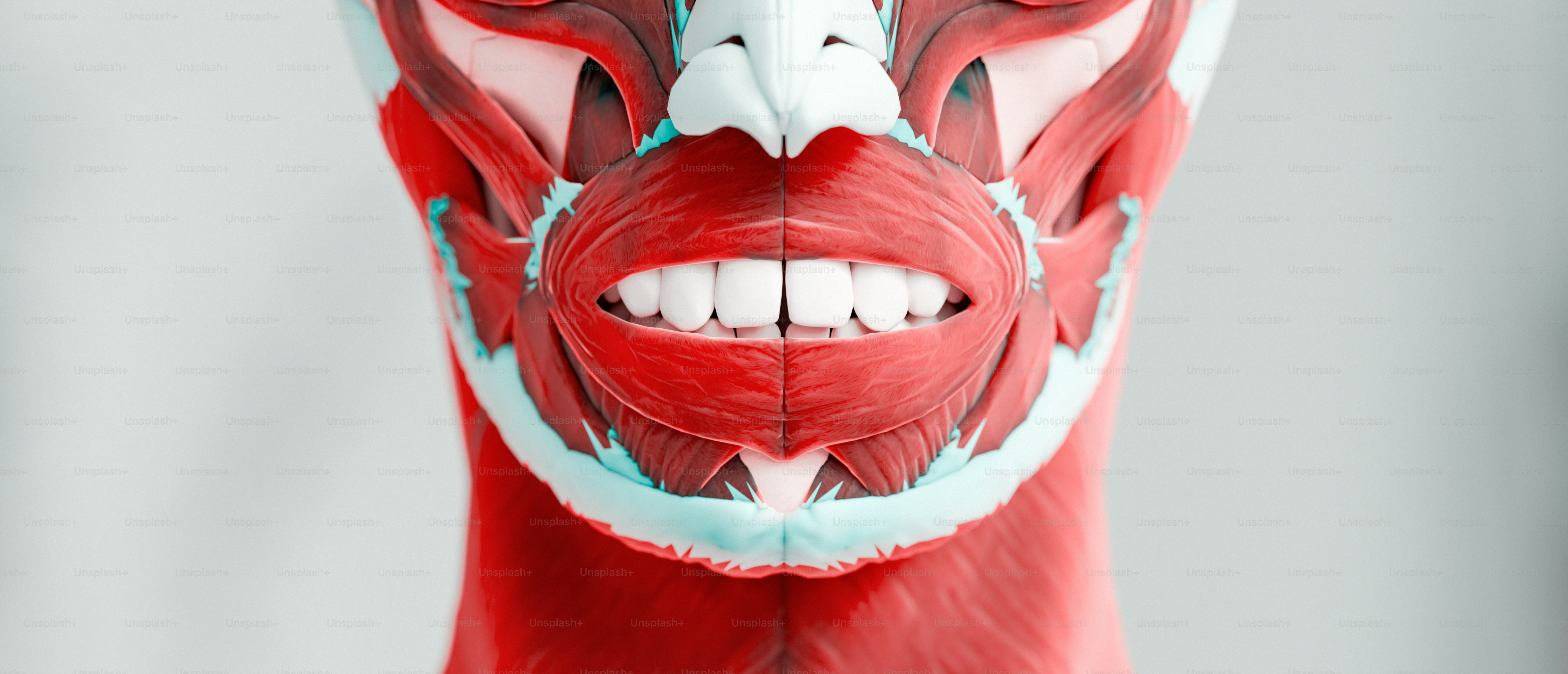 A red and white mask with a white face