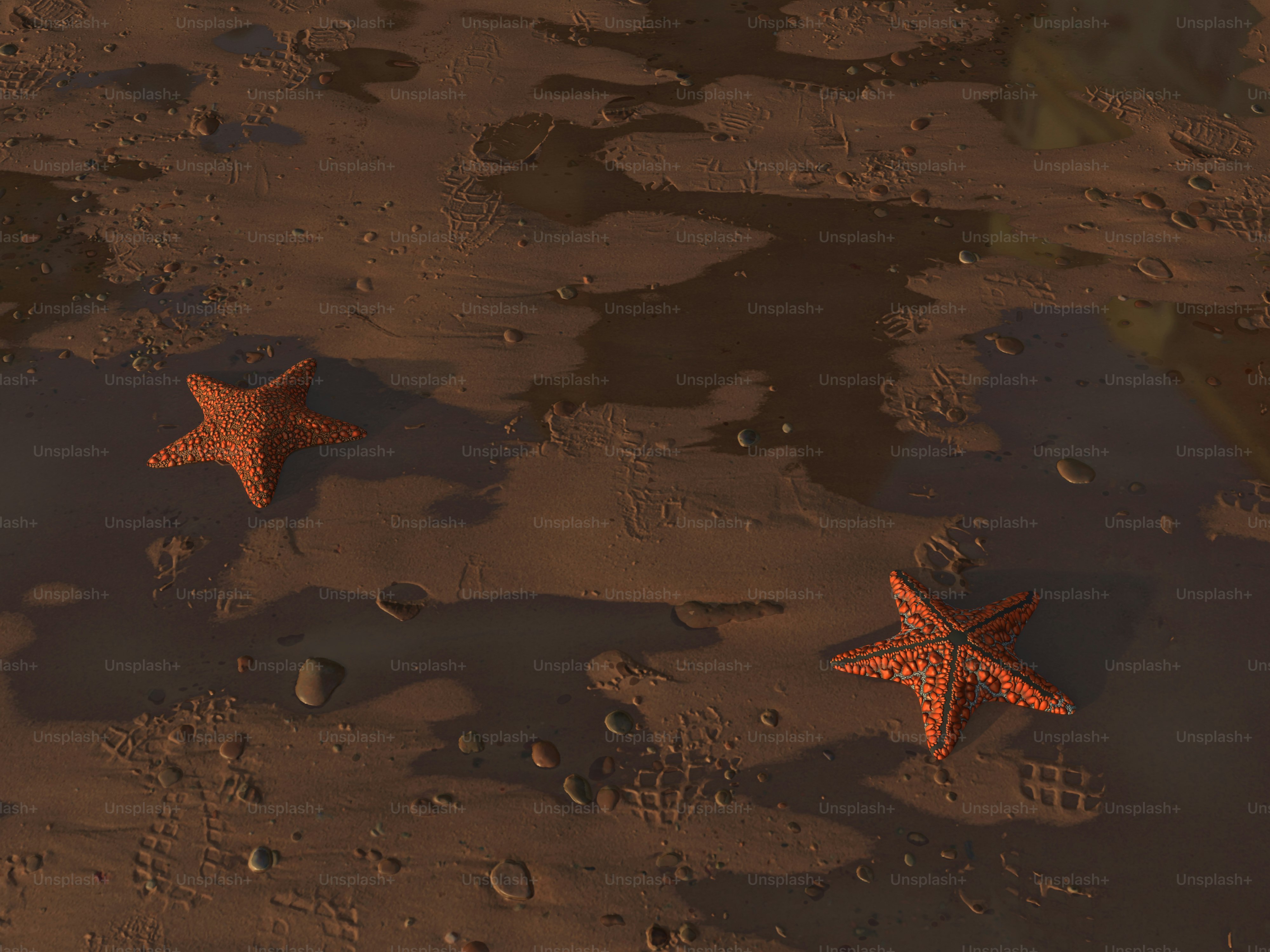 Conclave writer reveals which two A-list actors were in line to play Ralph Fiennes role